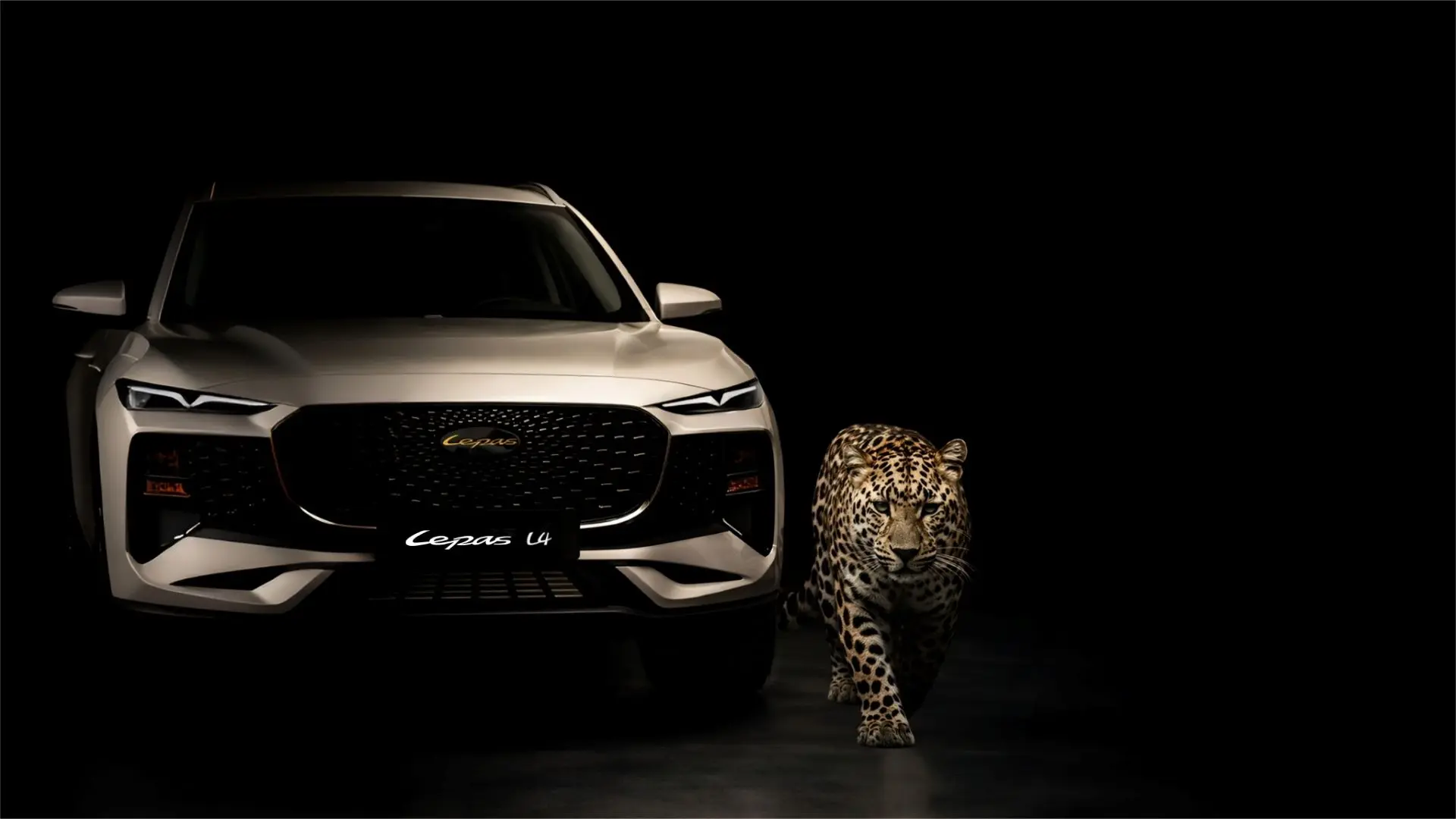 Inside WeBuyCars’ AI-Powered Digital Reinvention Drive