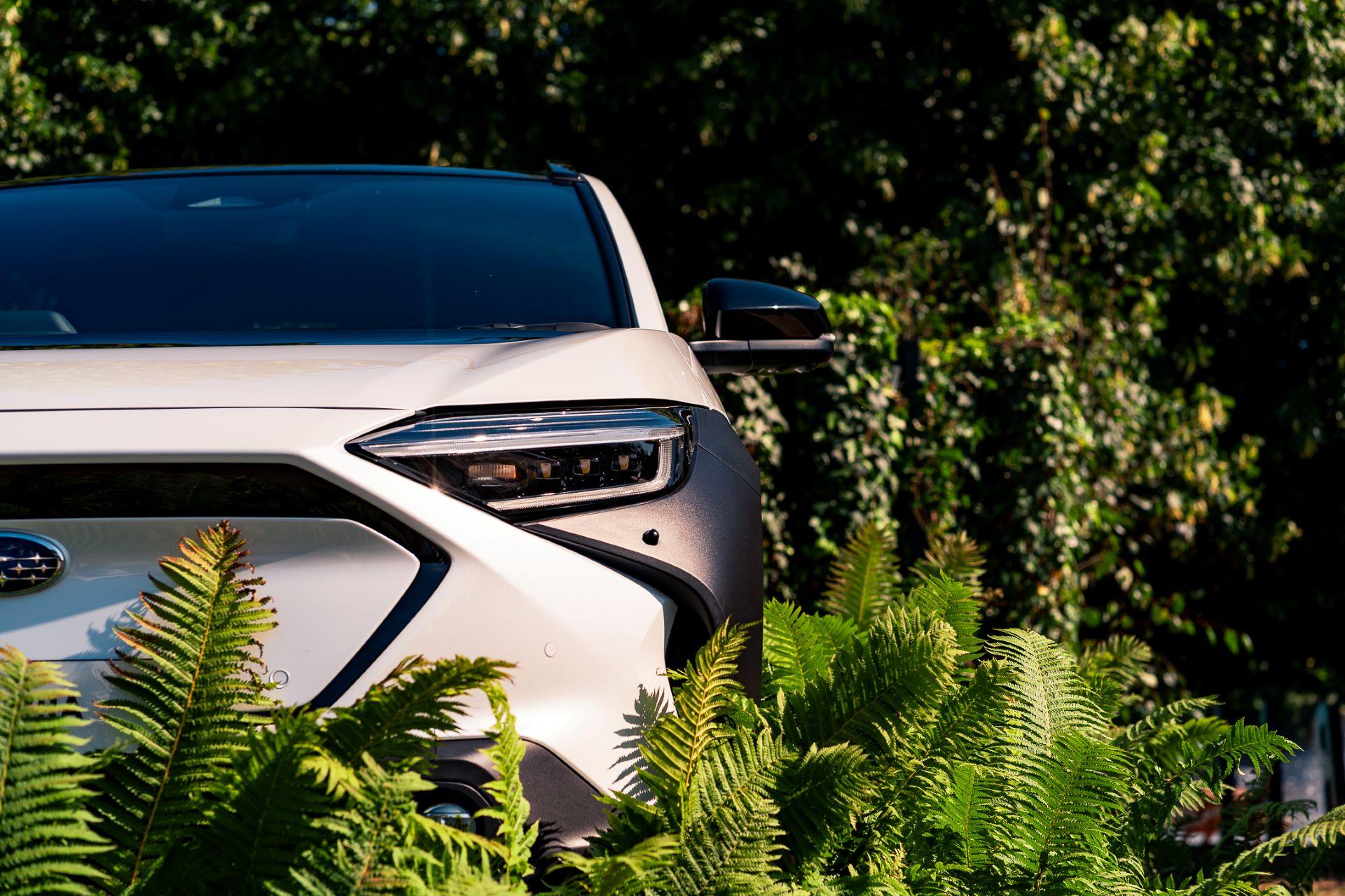 Subaru cocoon garden healing space