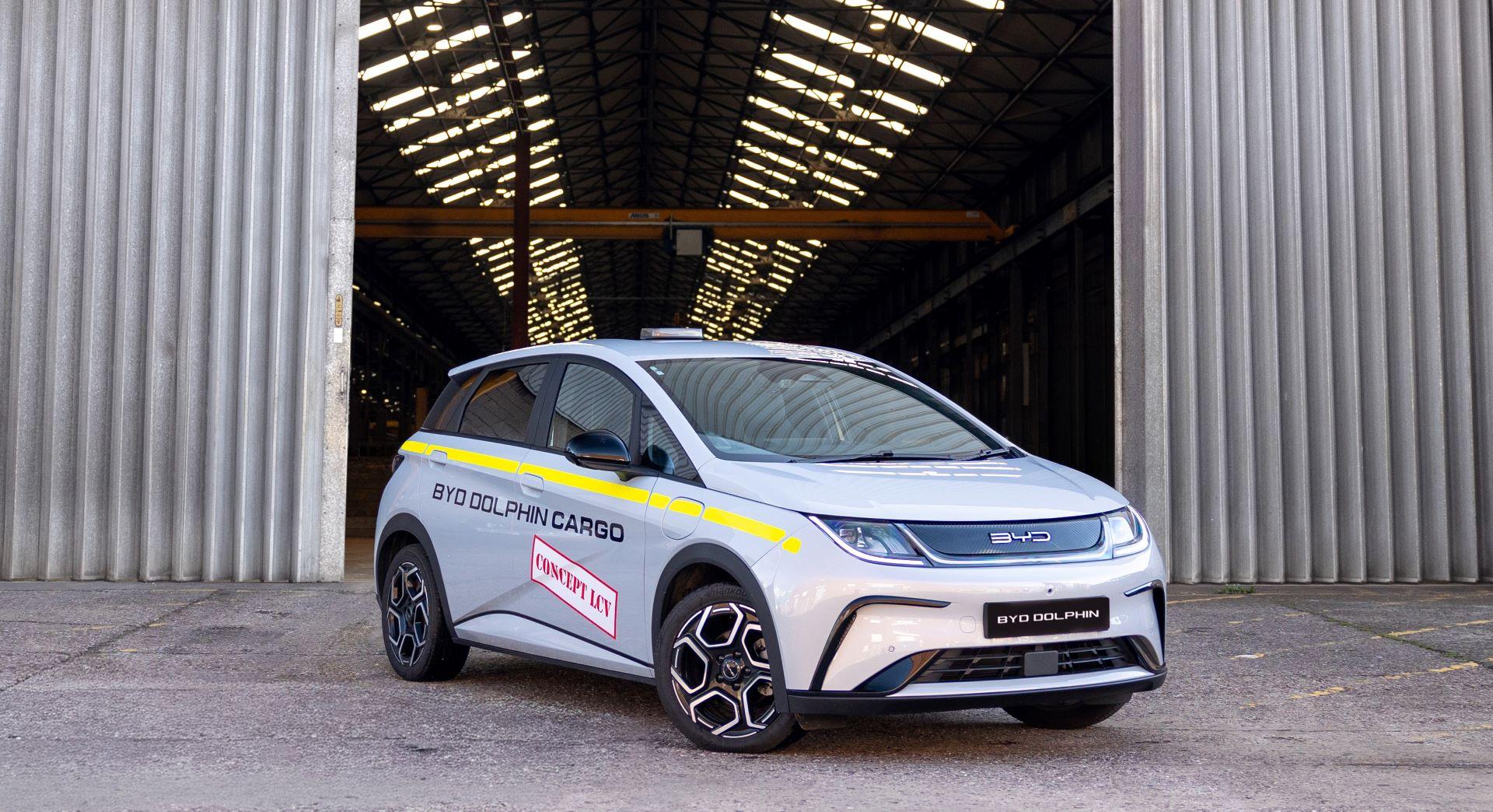 Bydunveilsdolphincargoe vanatneccvshow2026