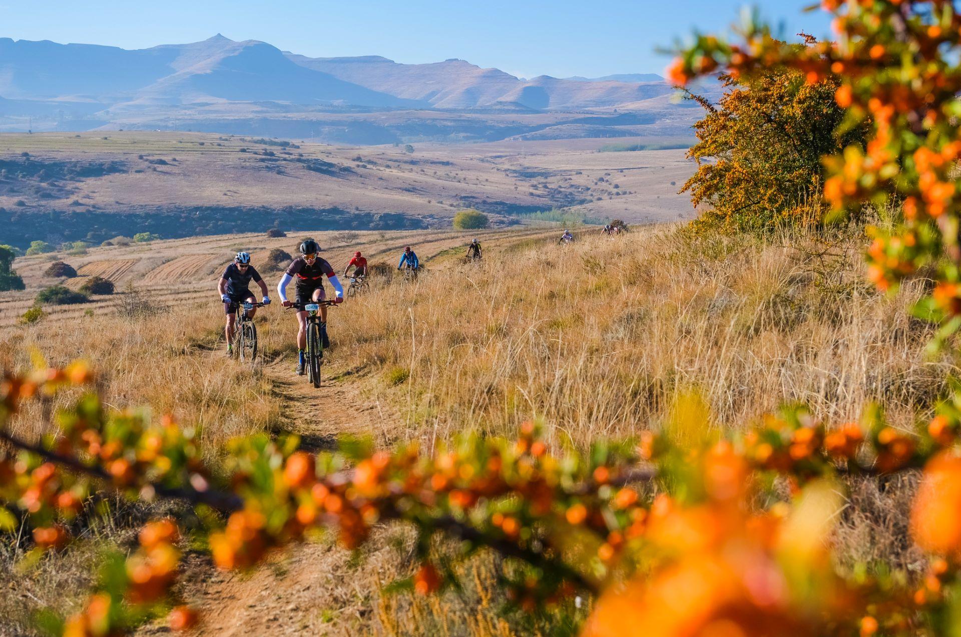 Subaruamohelamtbchallengereturnstoclarens2026