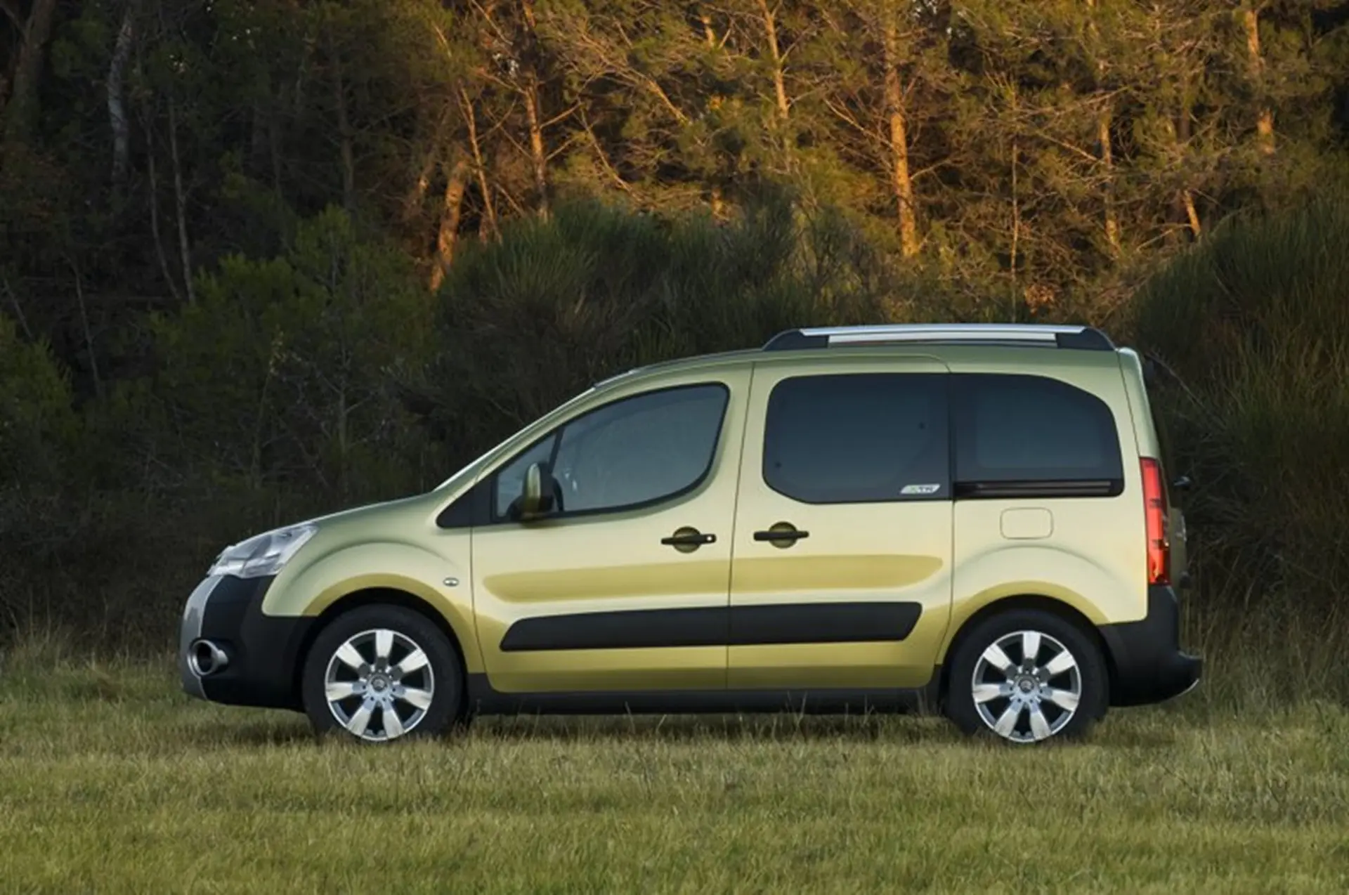 Citroen Multispace