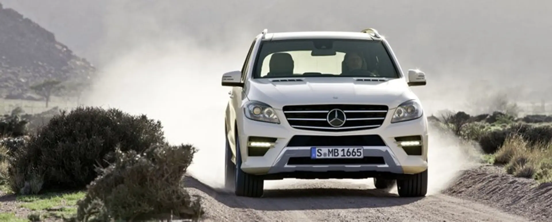 ML 250 BLUETEC 2011