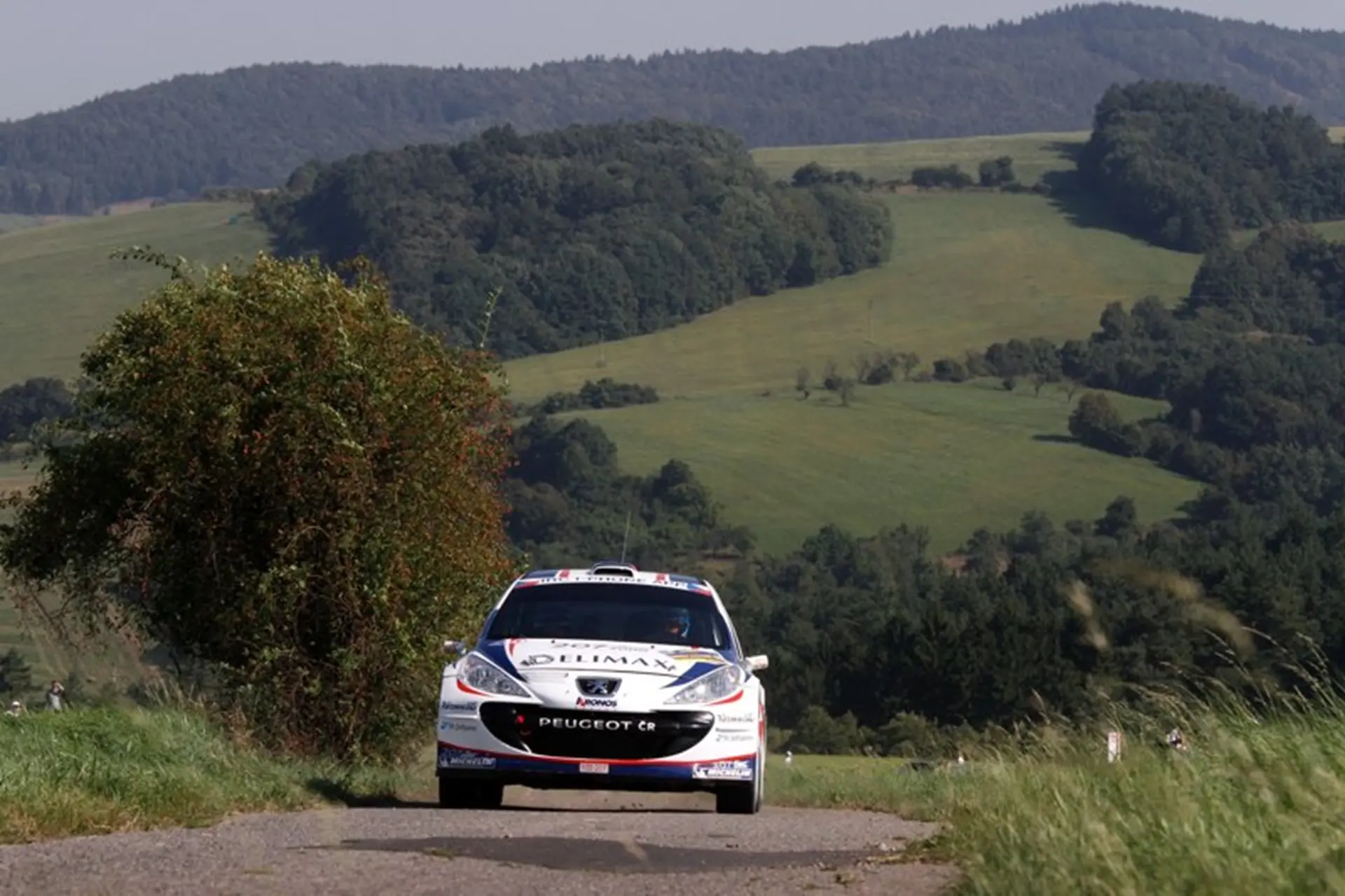 Peugeot Rally 2011 Racing