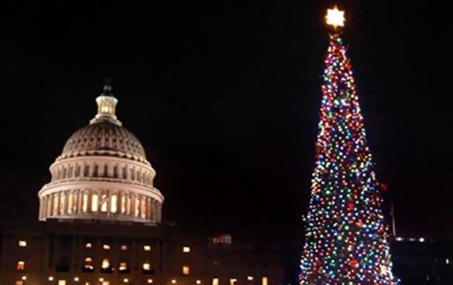 Mack makes Capitol Christmas tree shine