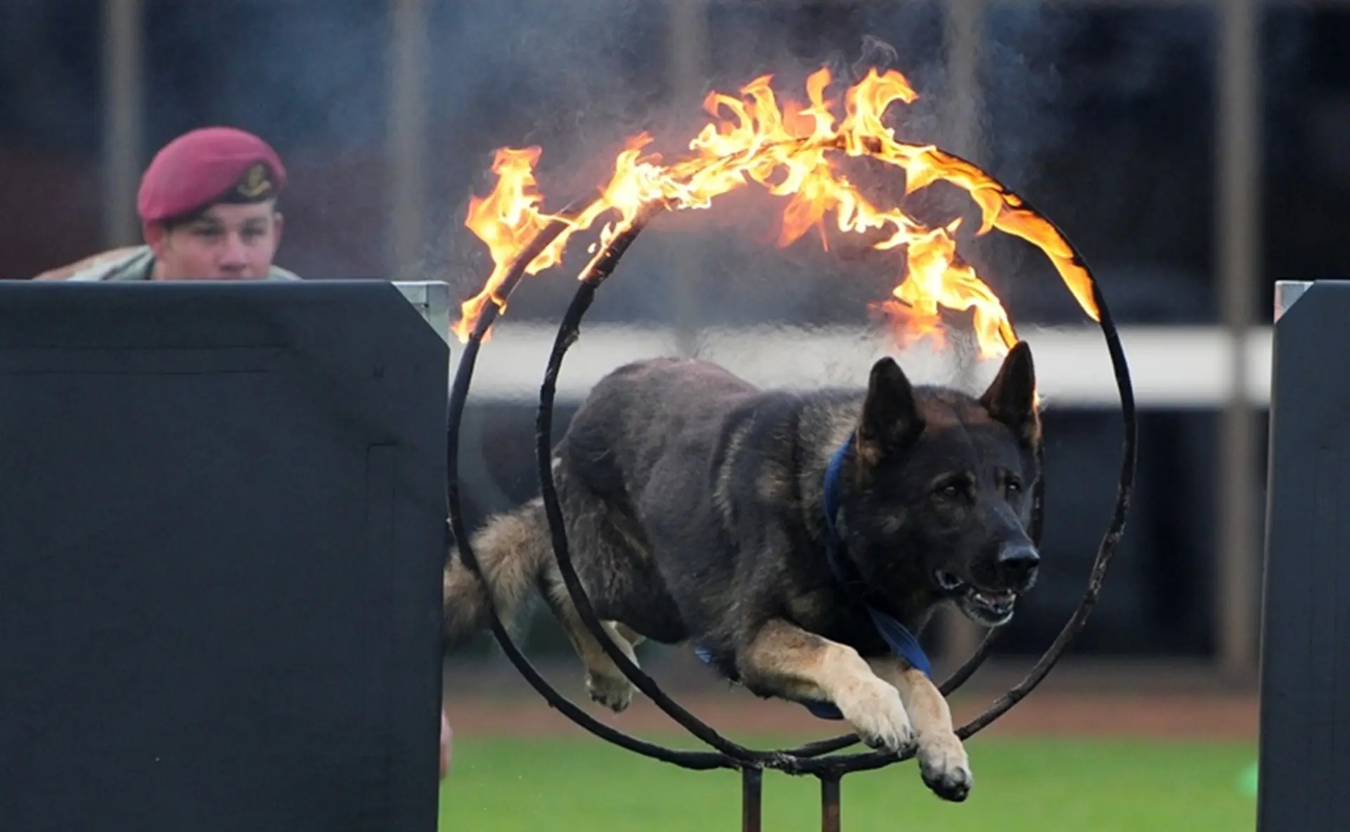 Rand Show Defence Force