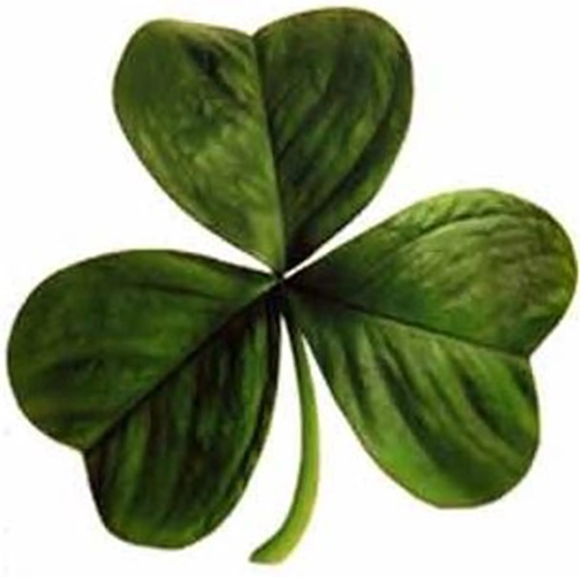 St Patricks Day