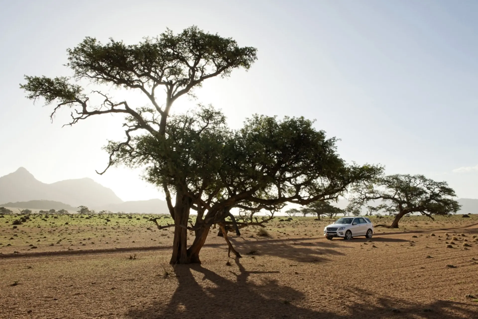 Mercedes-Benz M-Class 2012