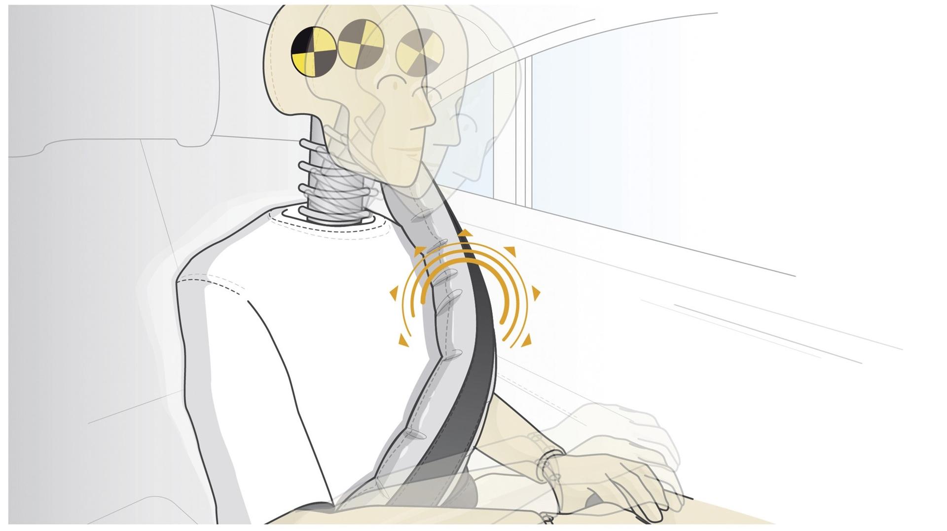 Extended protection in the rear: The seat belt gets into top shape