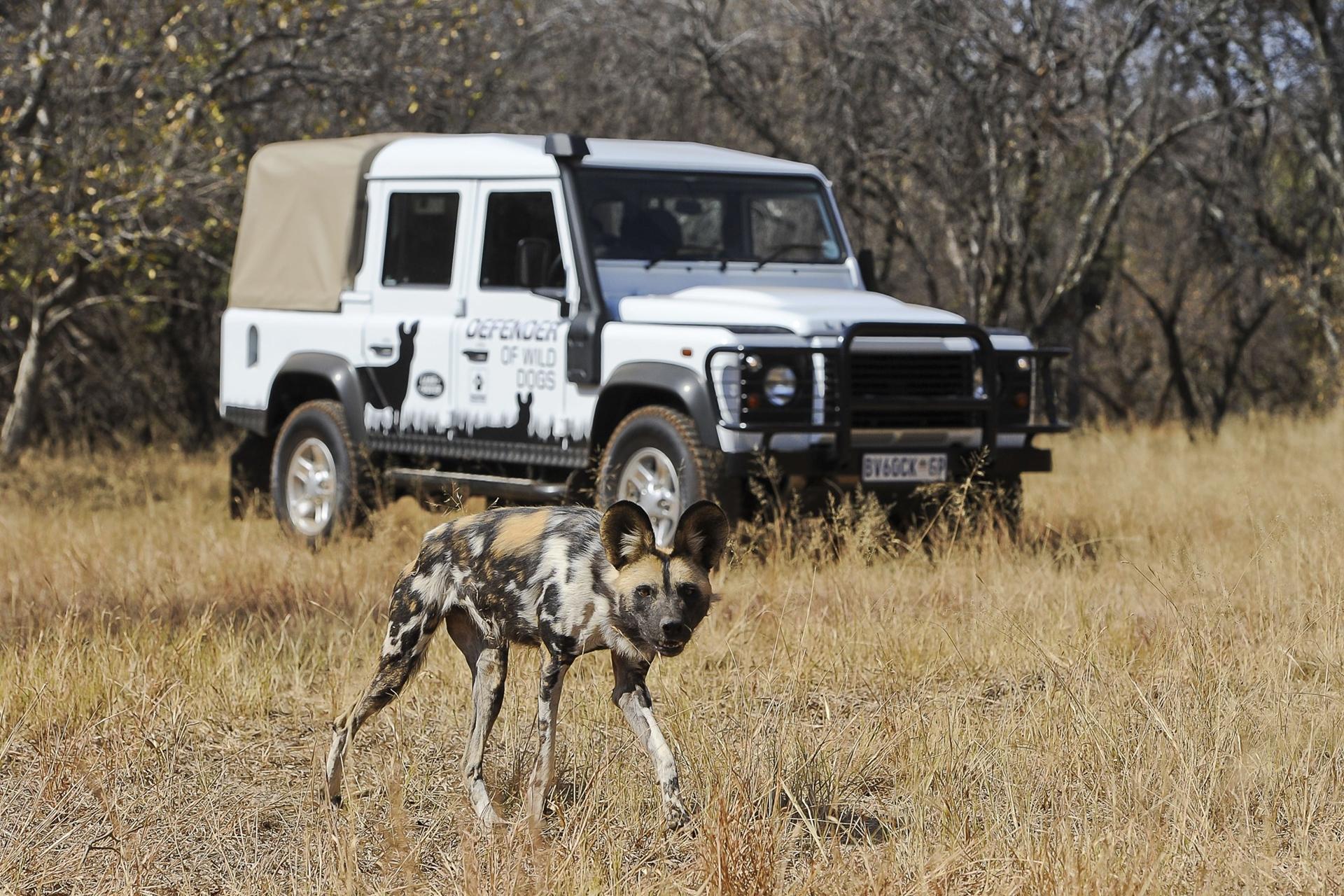 LAND ROVER PRESENTED EWT CHEETAH AWARD