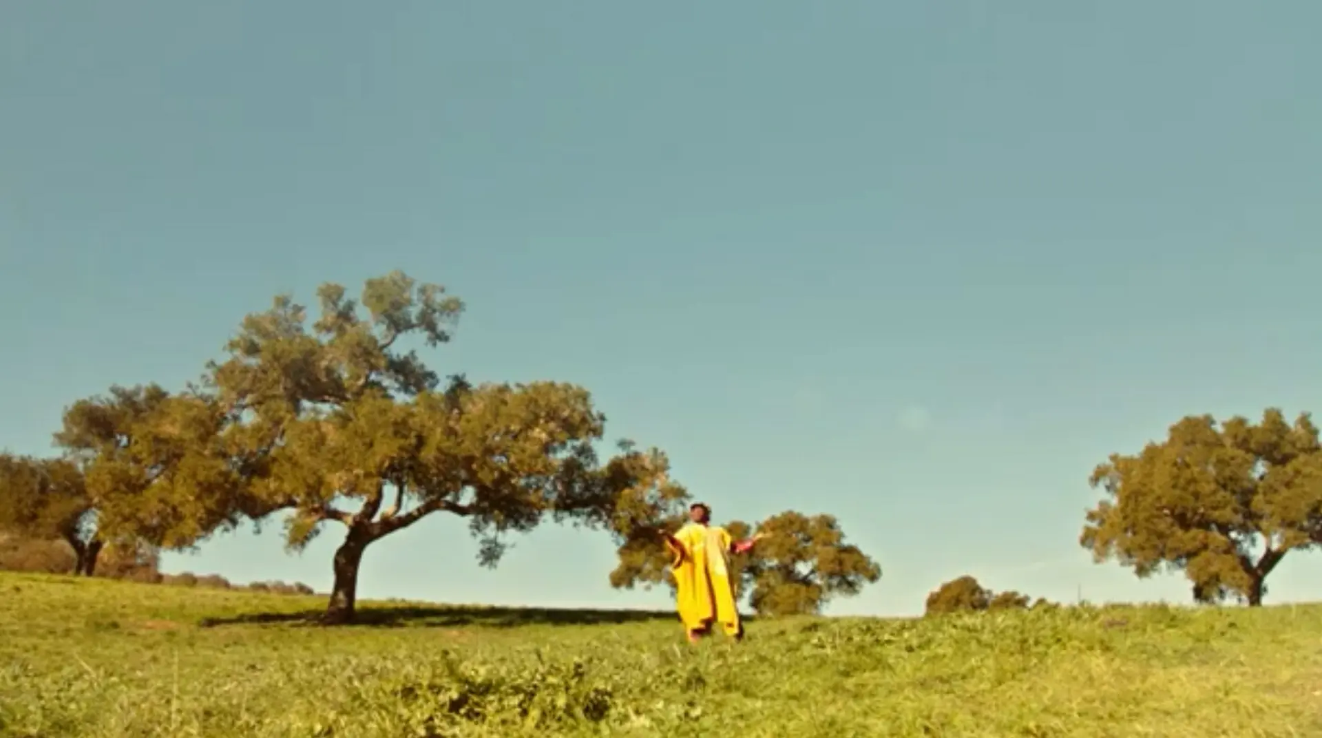Best Super Bowl XLVII Ads
