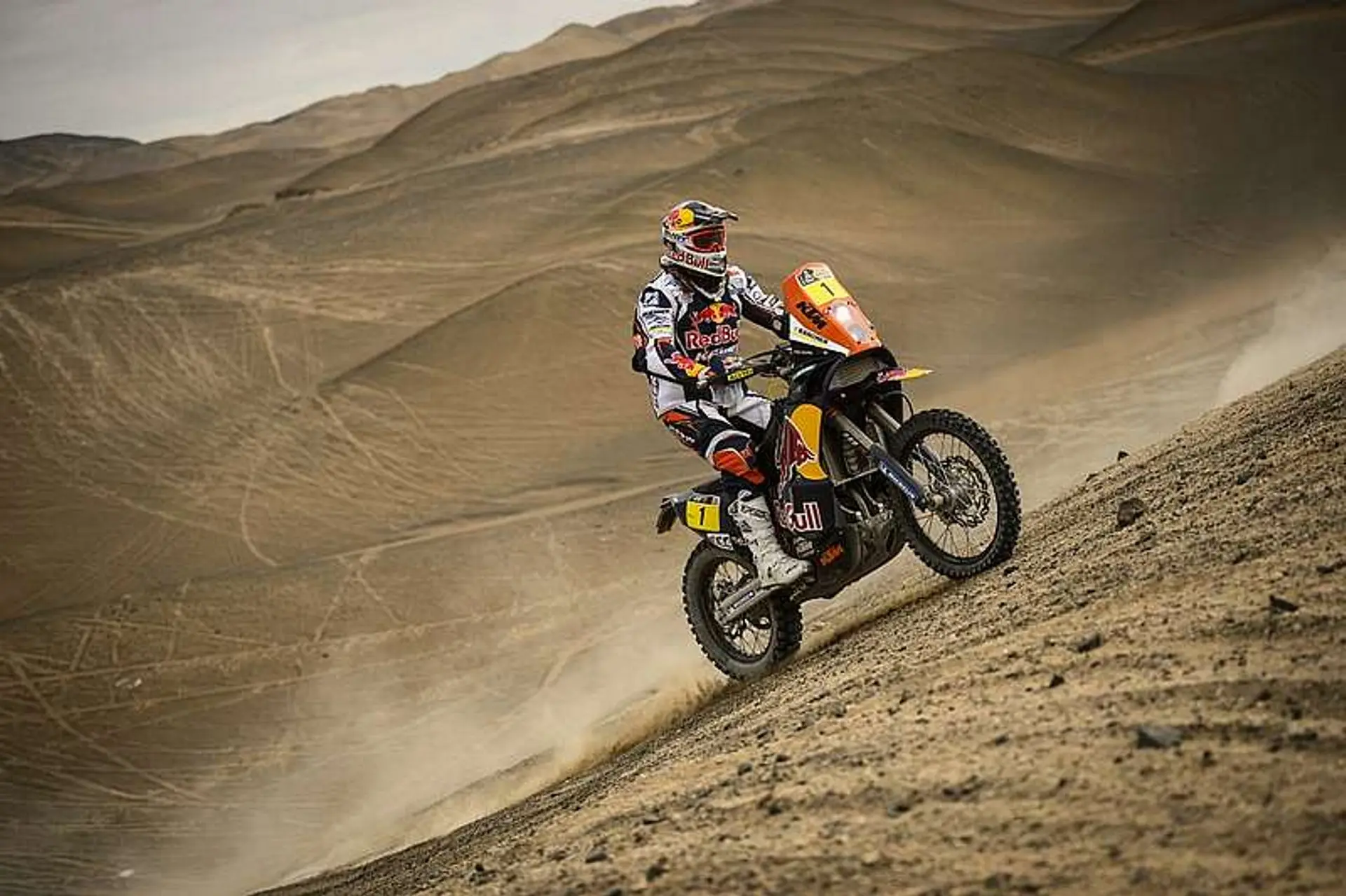 Cyril Despres Dakar 2013