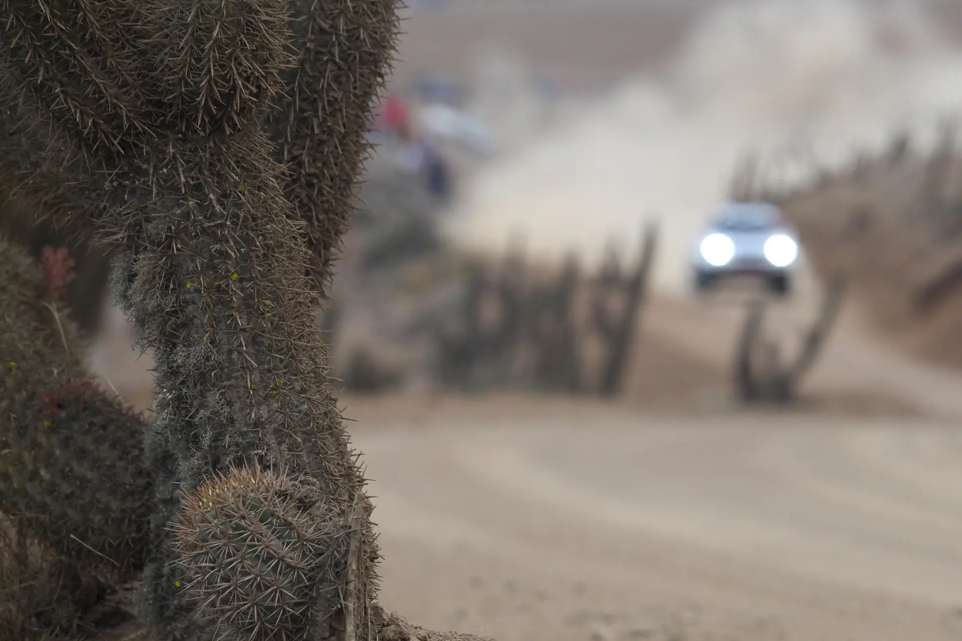 Dakar-09