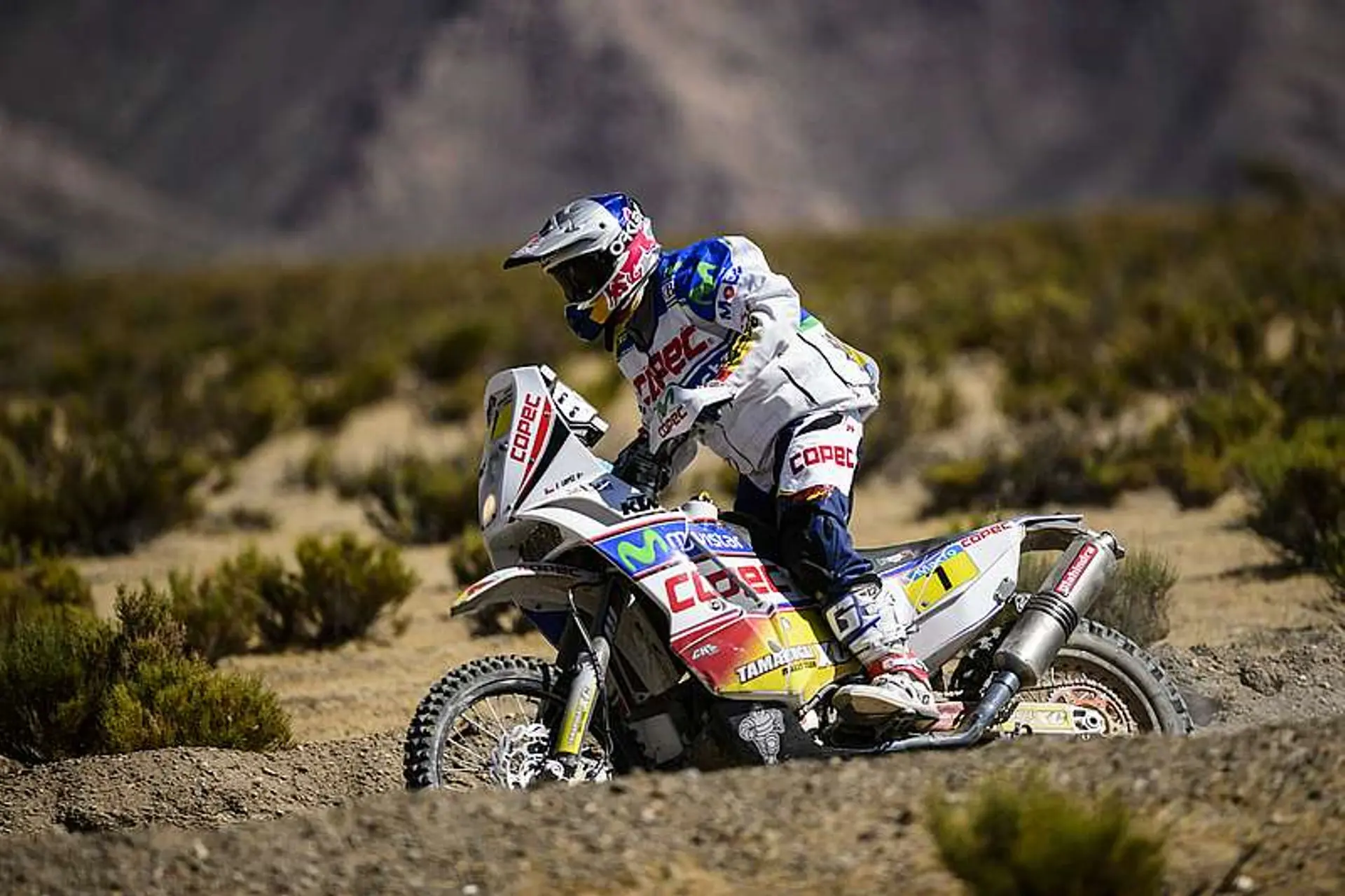 Dakar-201315