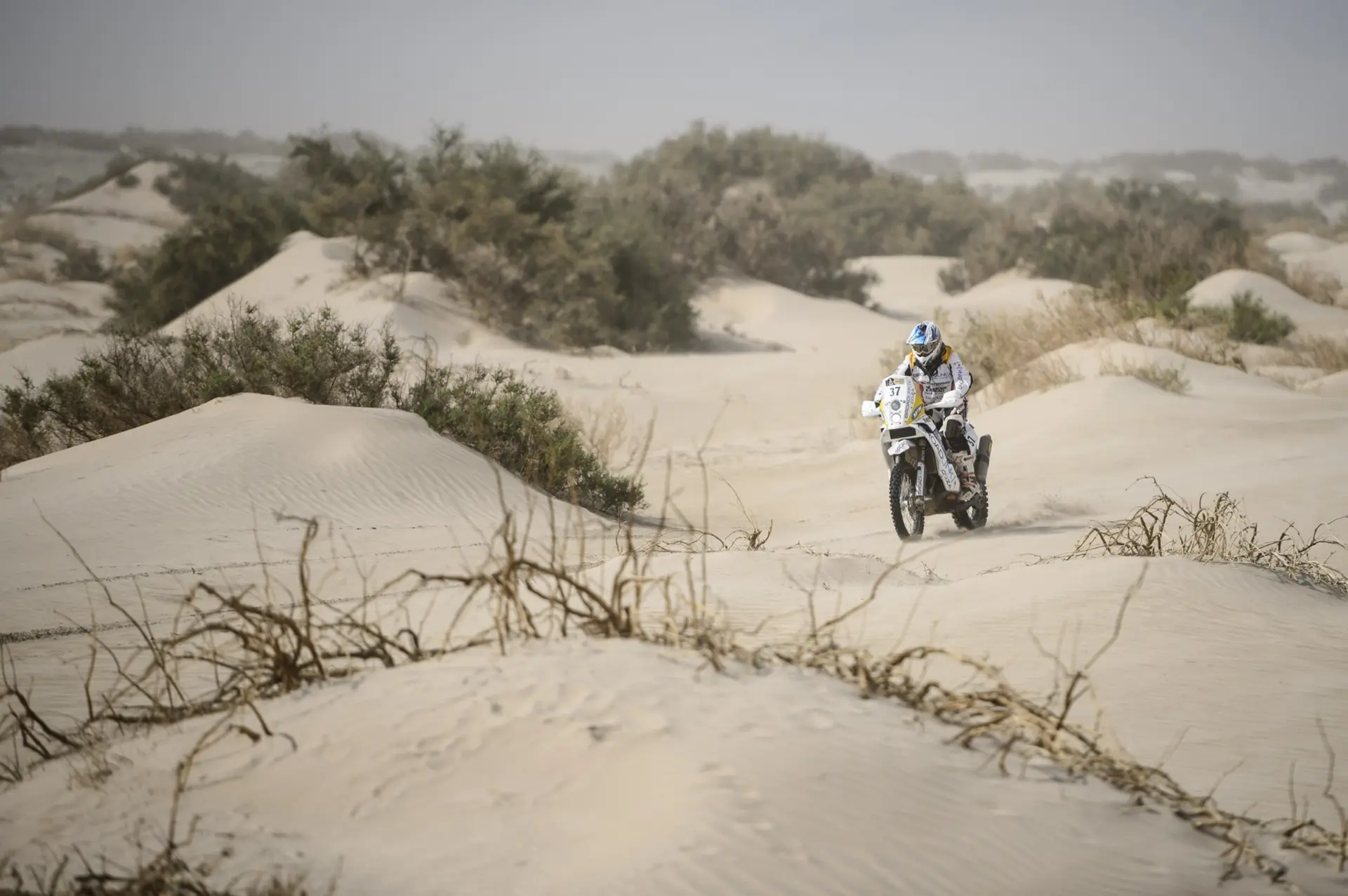KTM Dakar 2013