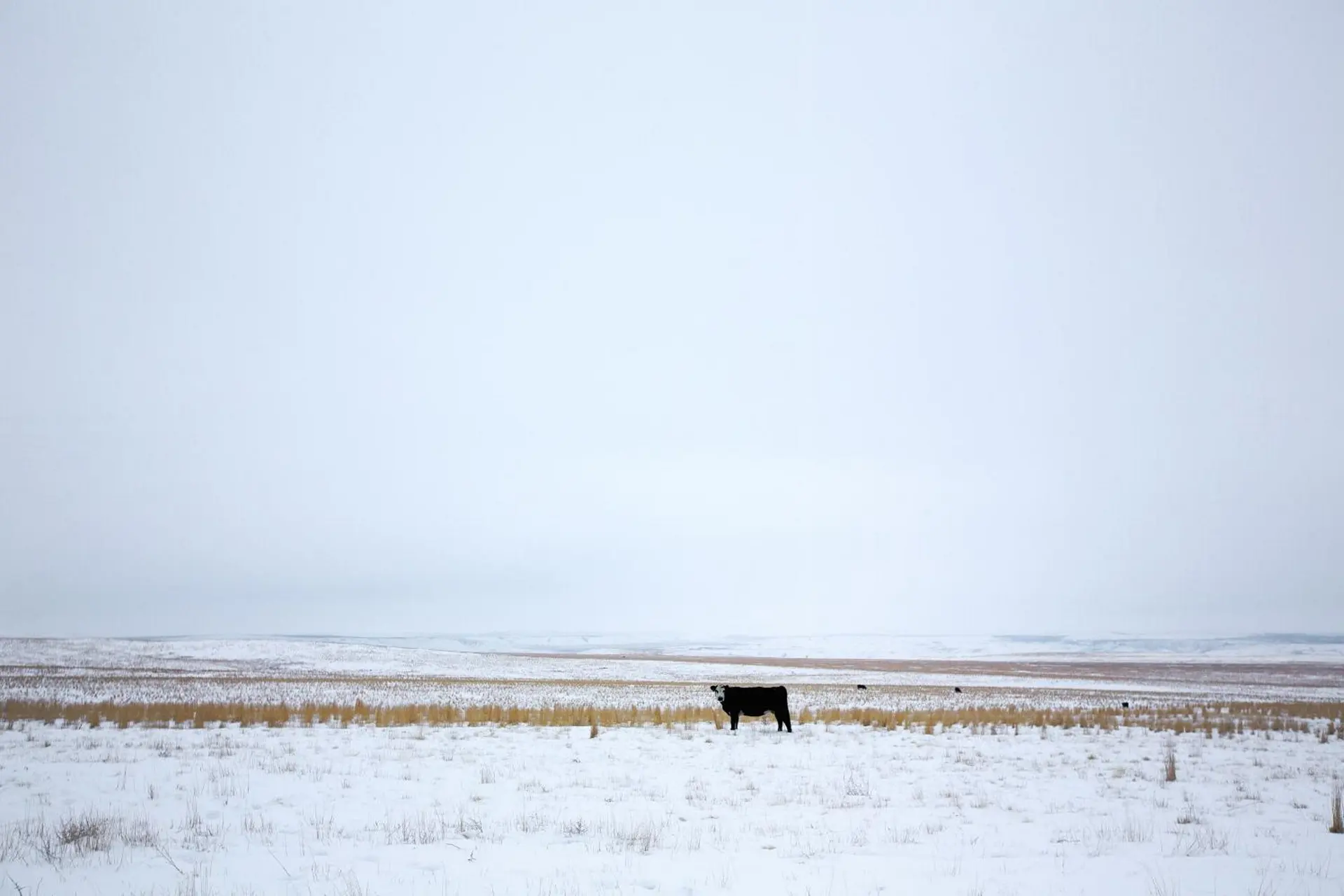 Super Bowl Commercials