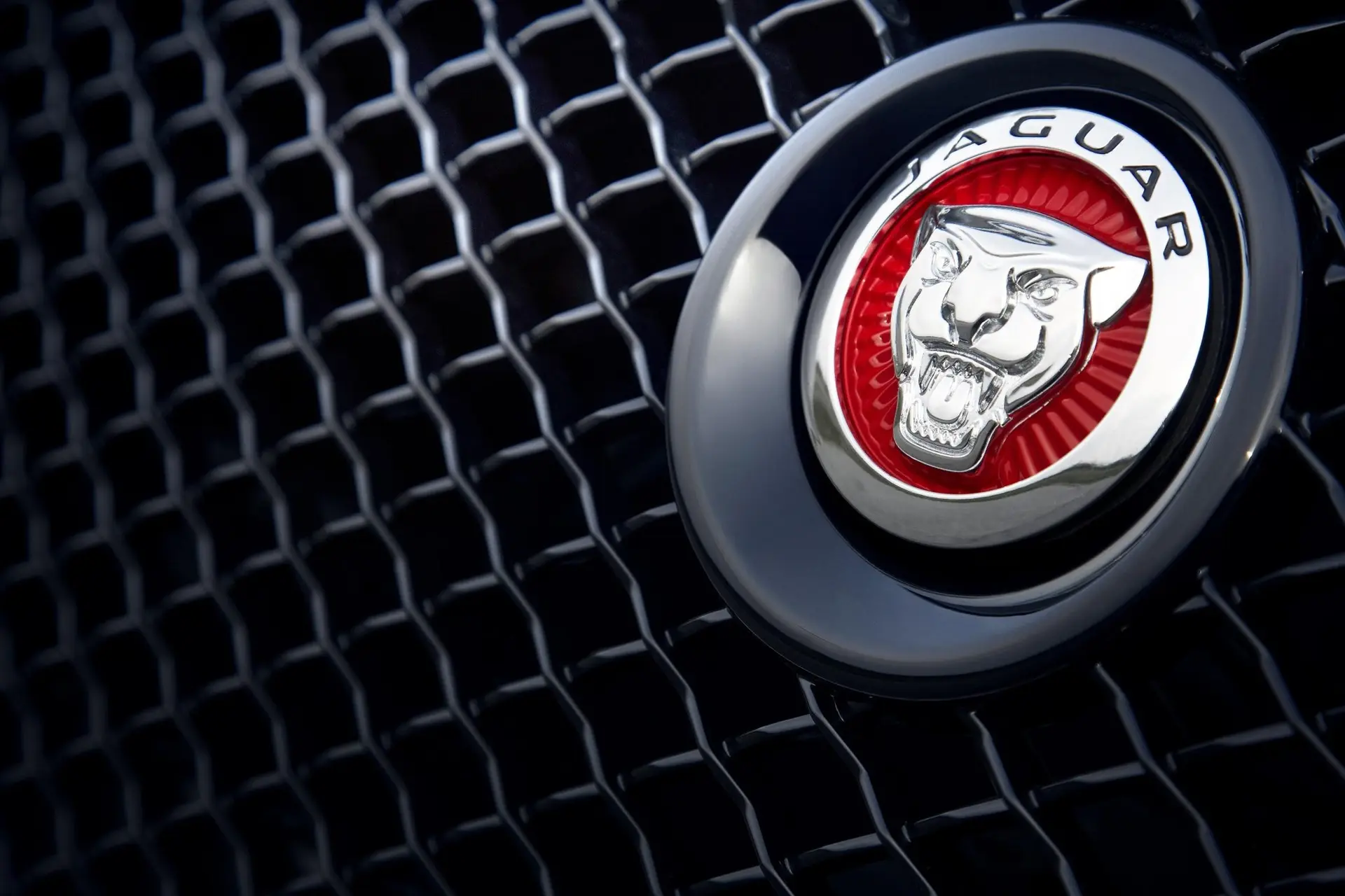 jaguar badge