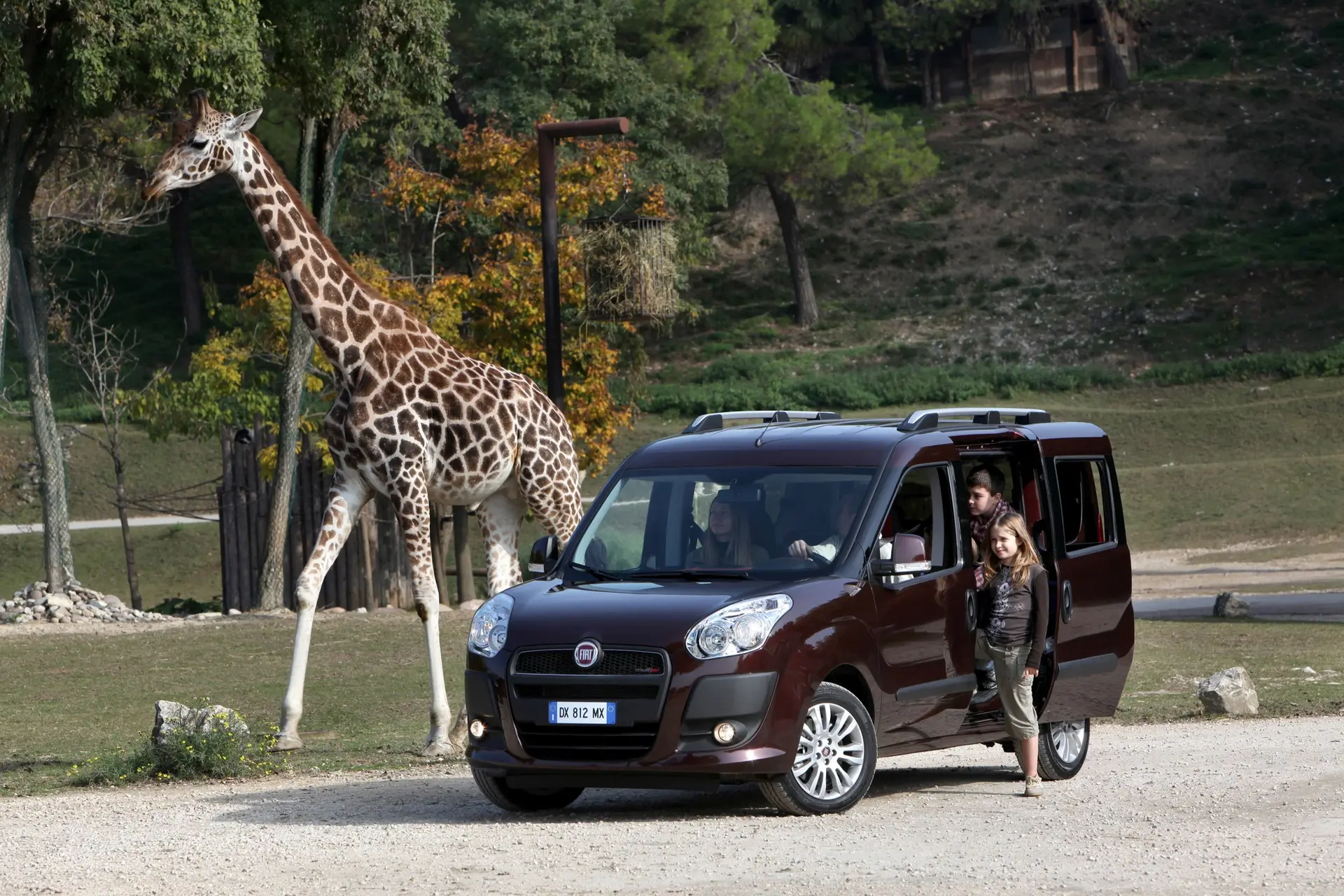 fiat doblo panorama