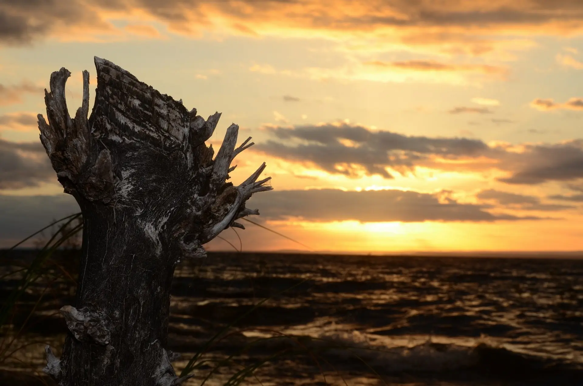 Kariba Lake 4x4 Routes