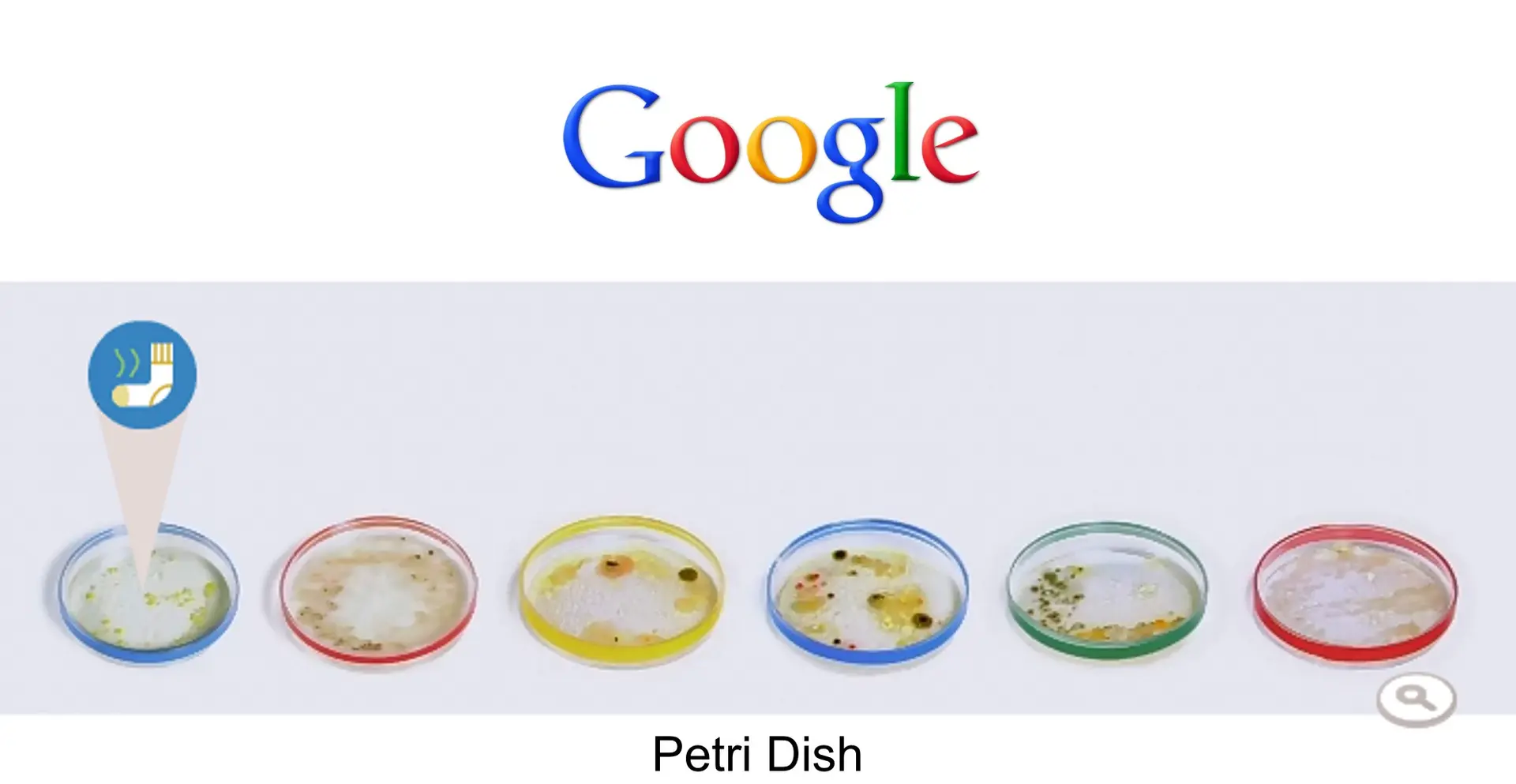 Petri Dish Google Doodle