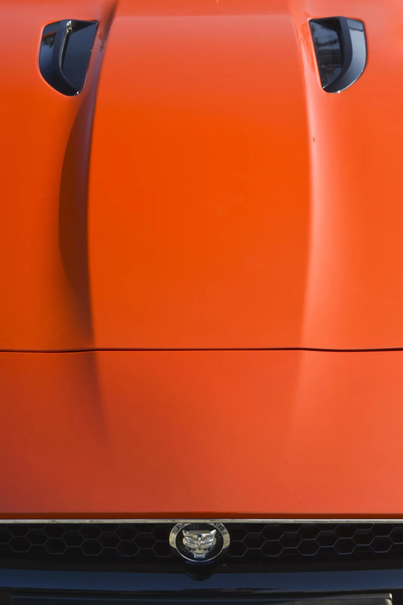 Jaguar f type 117