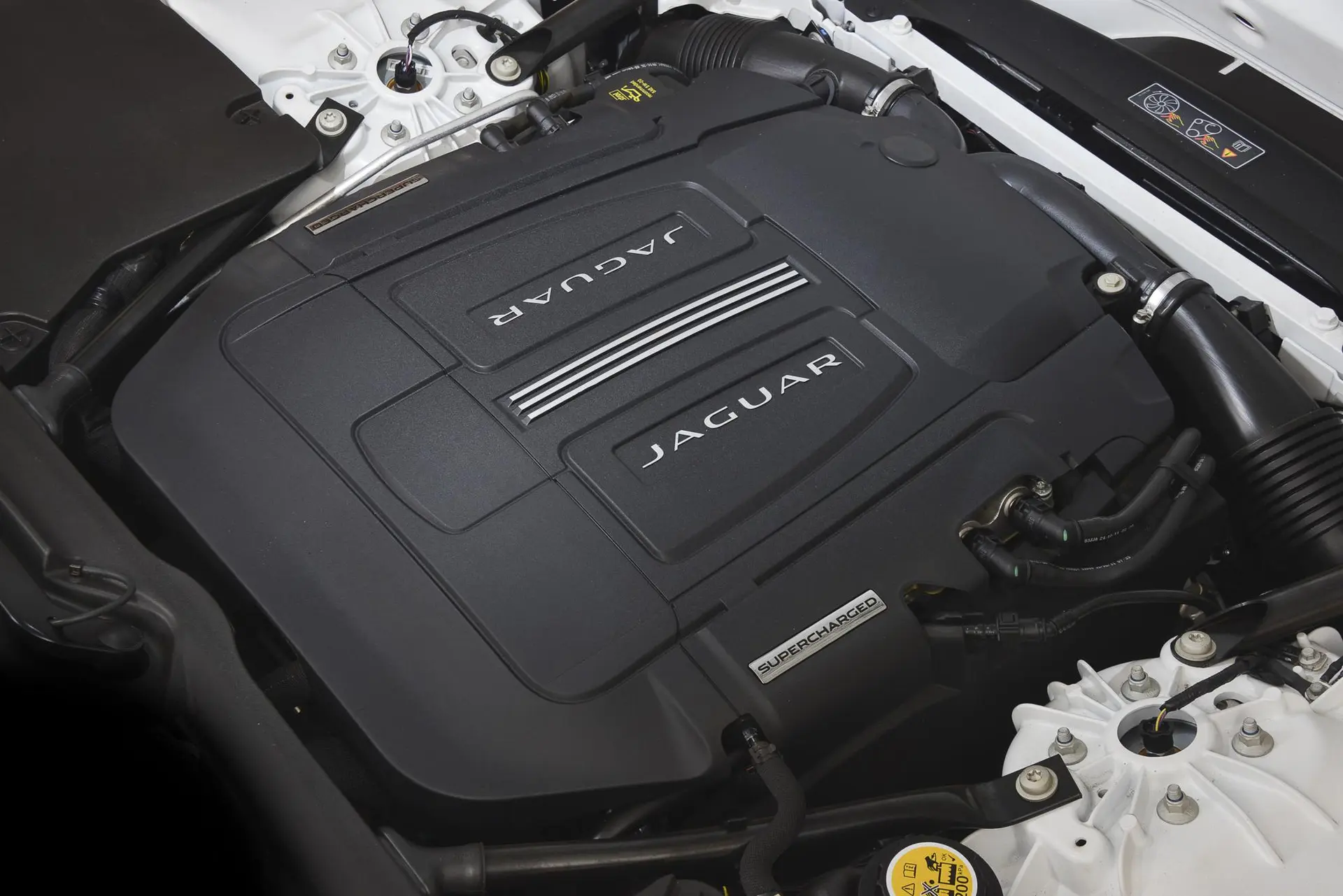 Jaguar f type 41