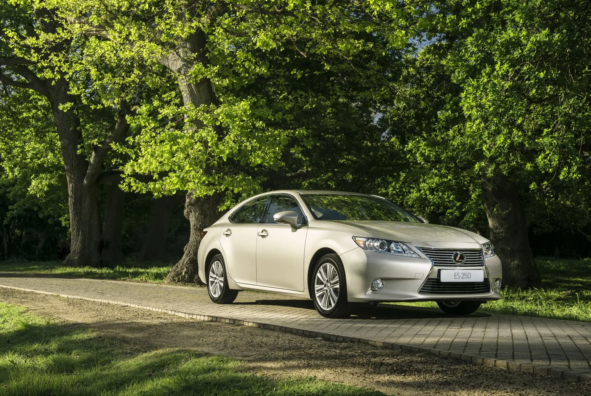 Johannesburg Motor Show 2013