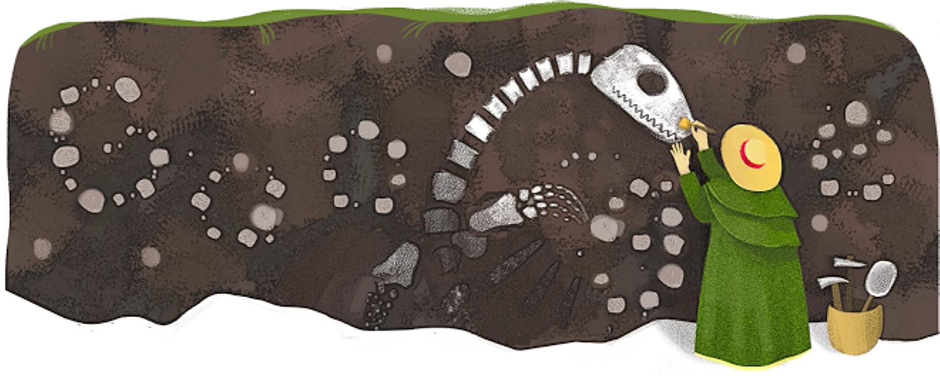 Mary Anning’s – The Fossil Collector
