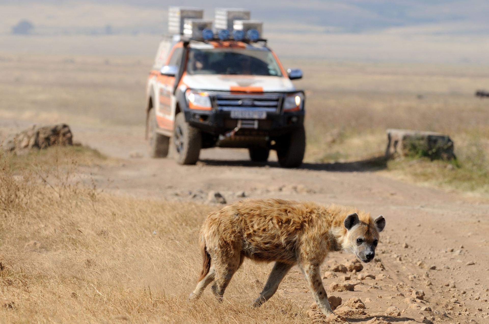 Tough Enough For Ranger Odyssey 2014