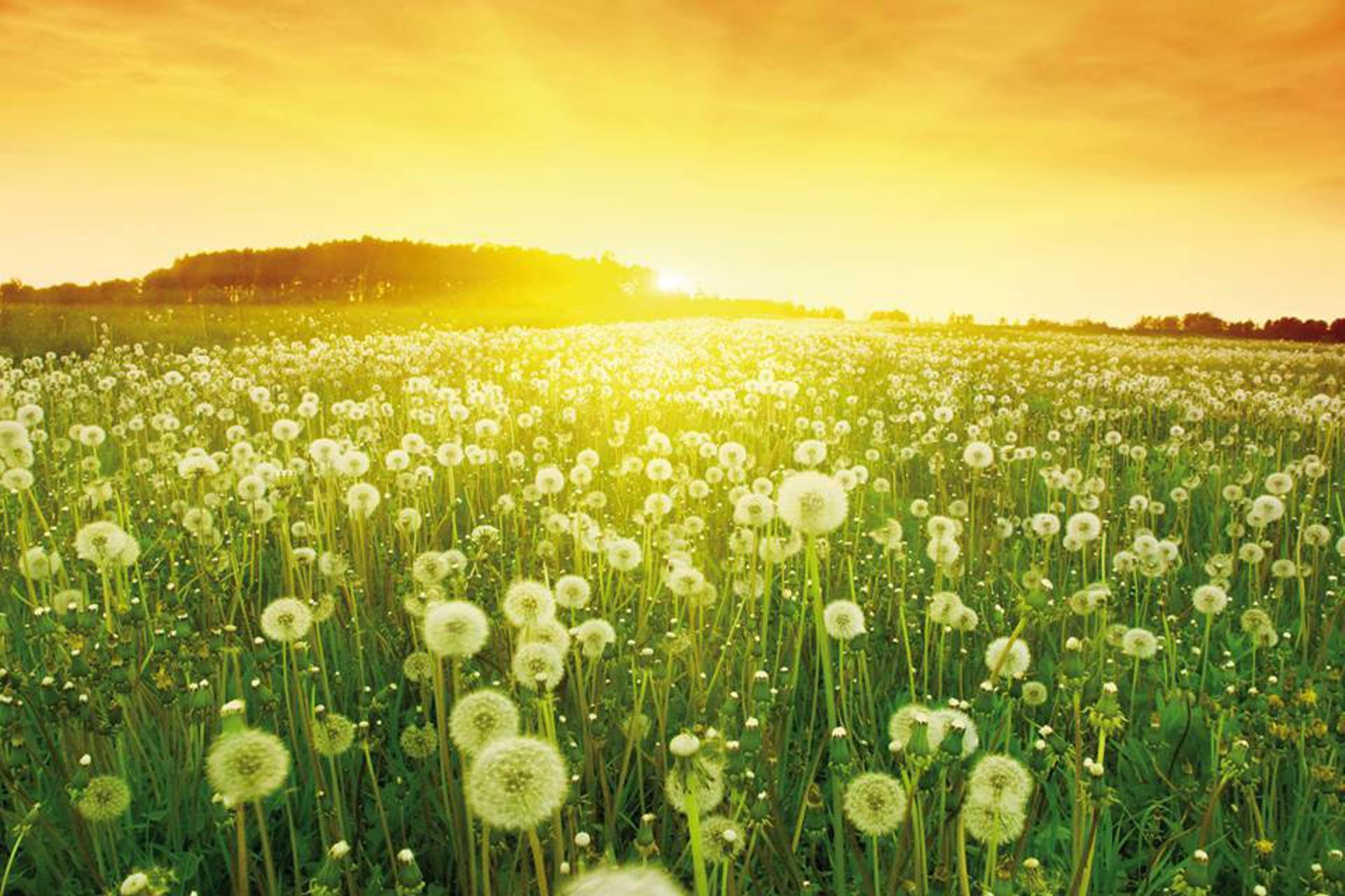 Continental Tyres Developing Sustainability