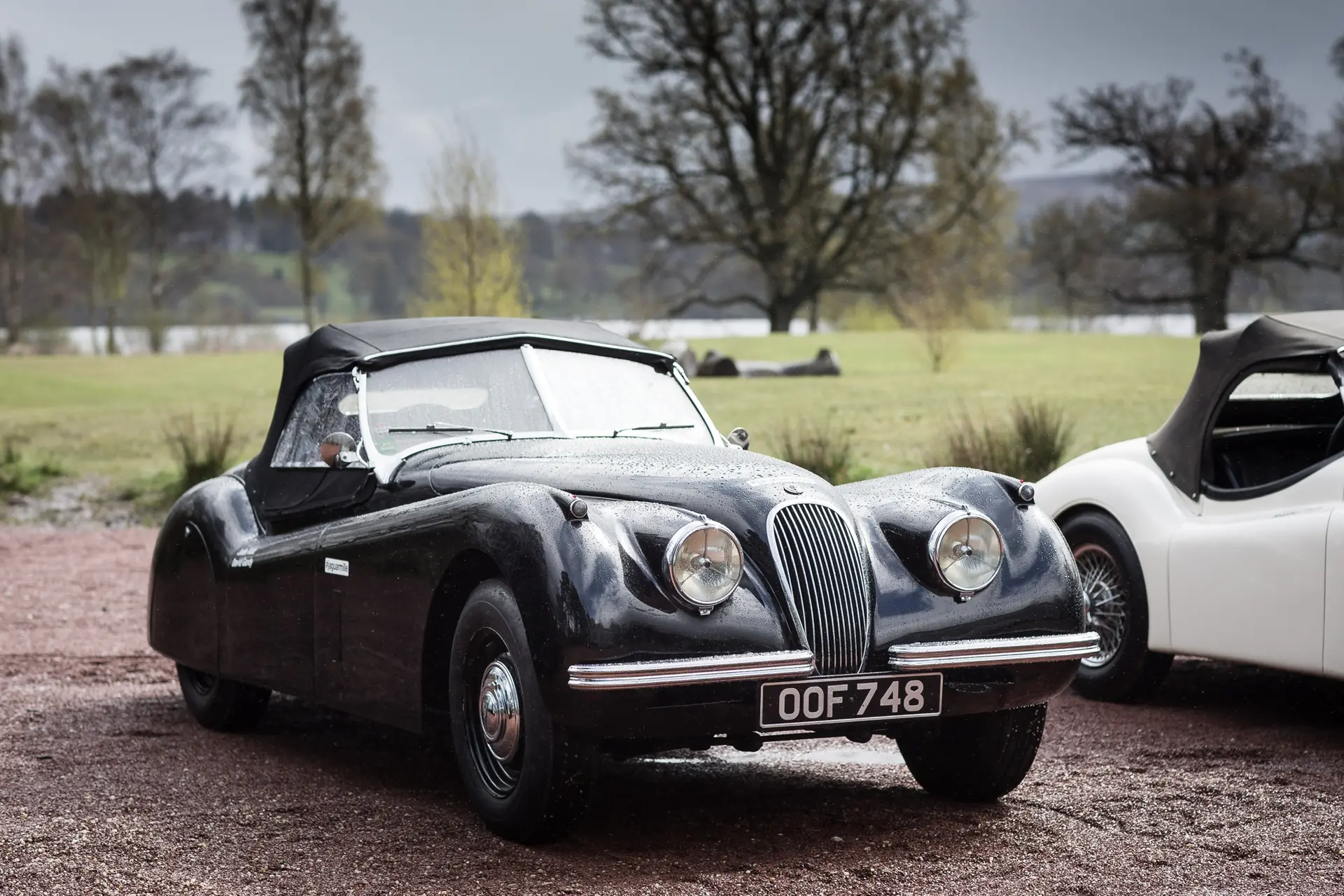 Jaguar_XK120