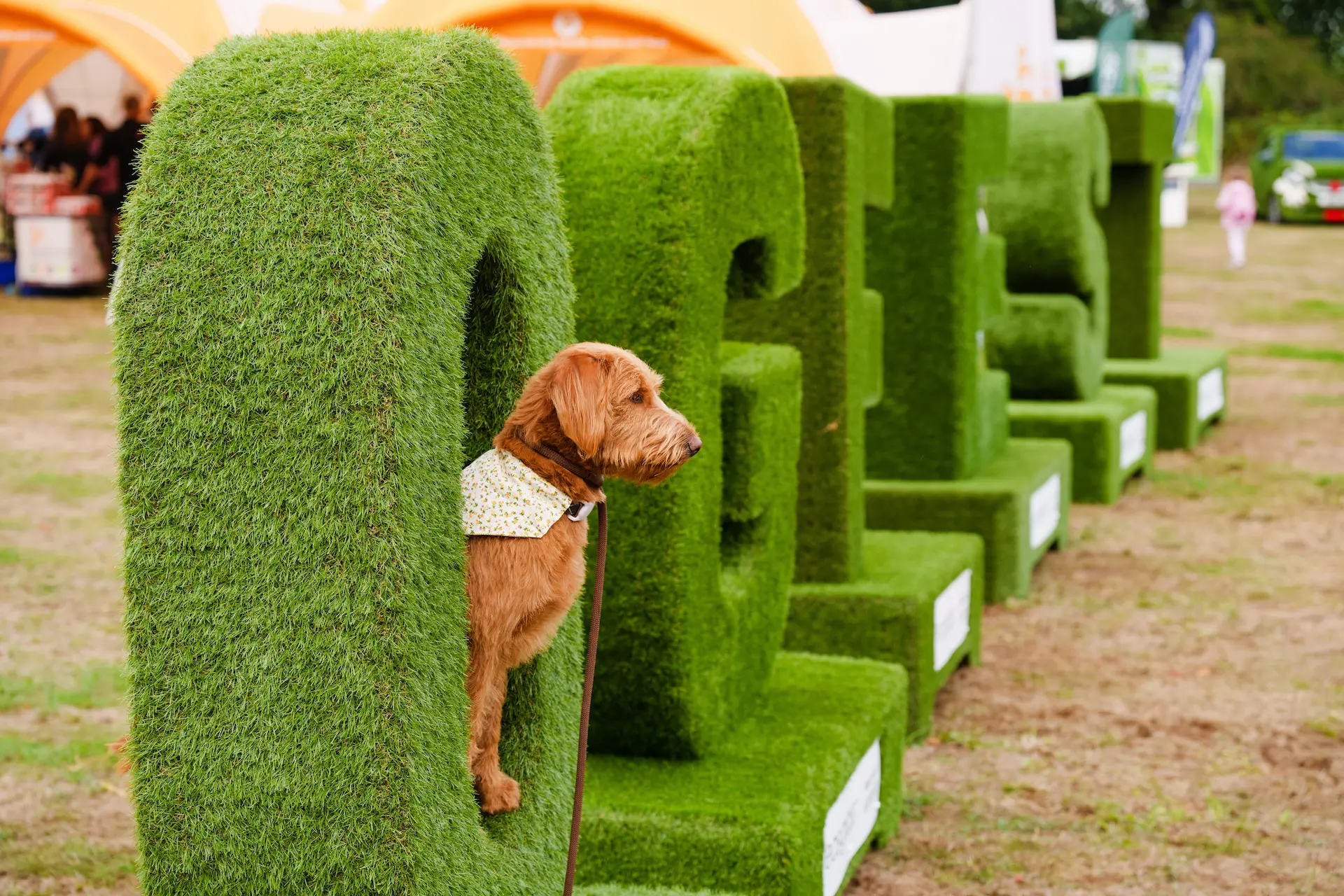Motorpoint Dogfest Sign