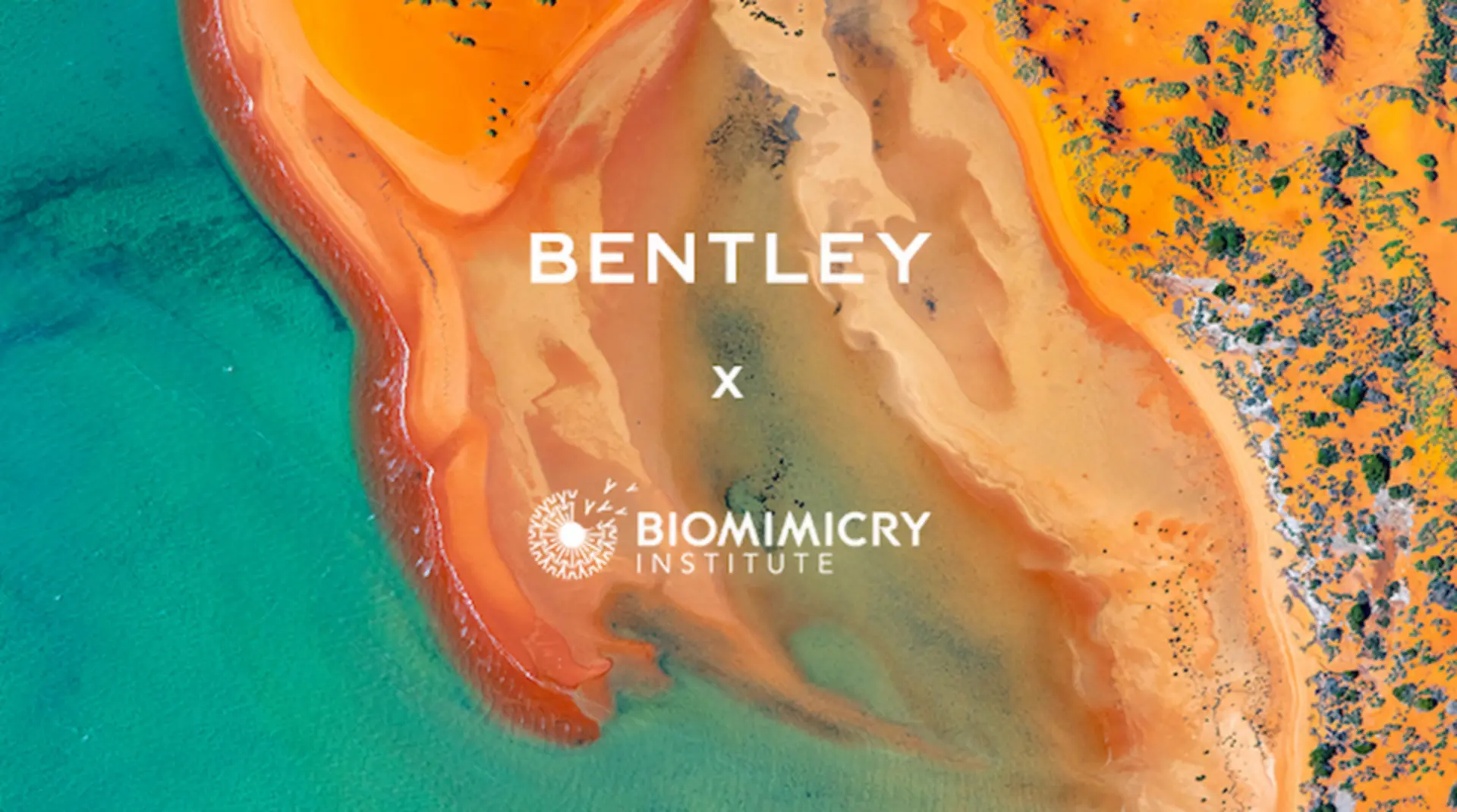 Bentley Environmental Foundation