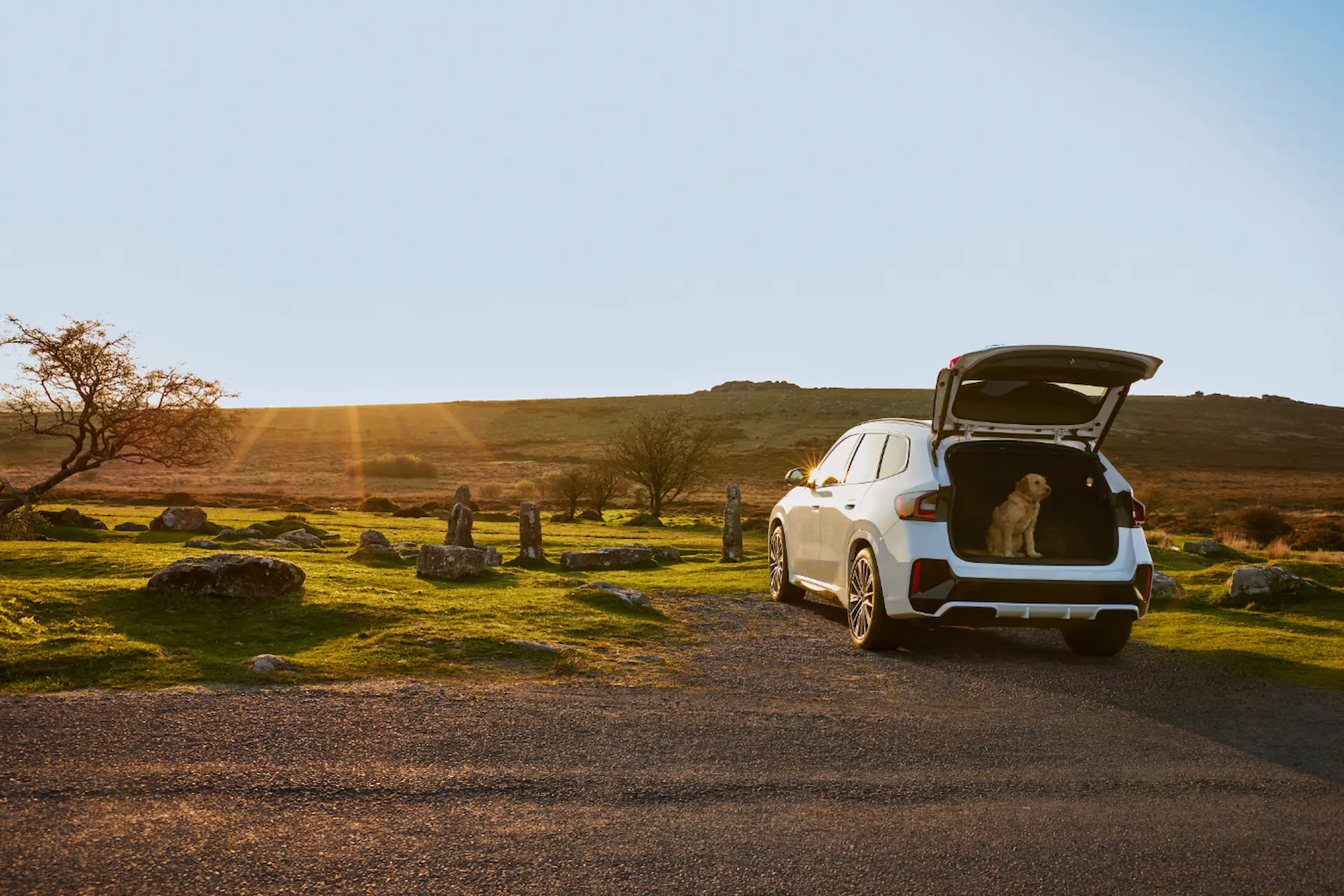 Bmw Supports New National Parks Projects Dog