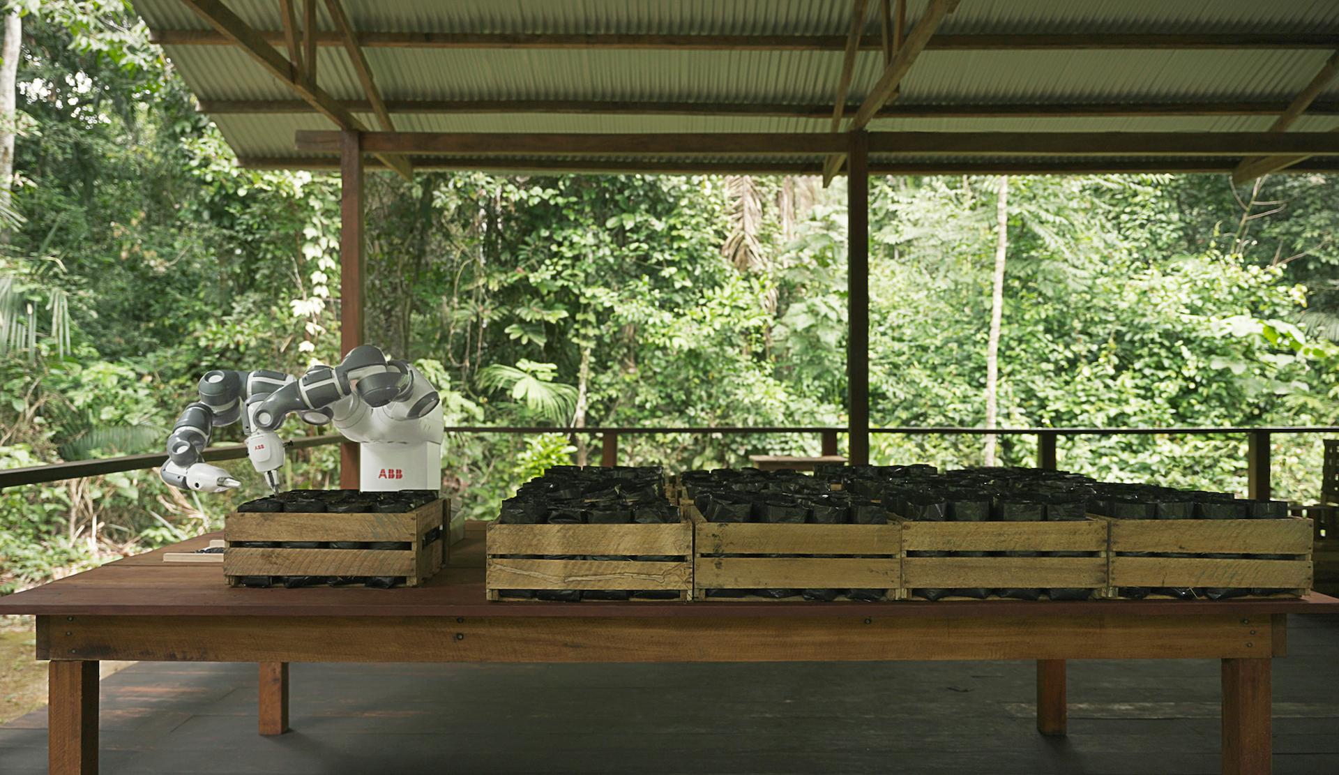 World’s most remote robot automates Amazon reforestation project