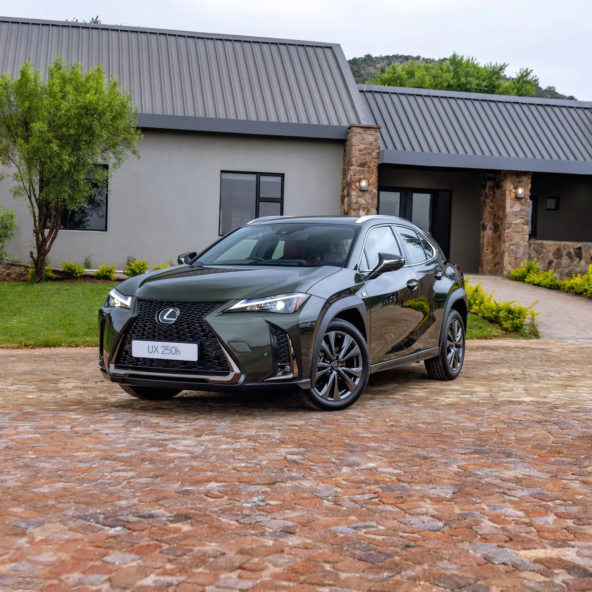 Lexus Making Luxury Personal 1