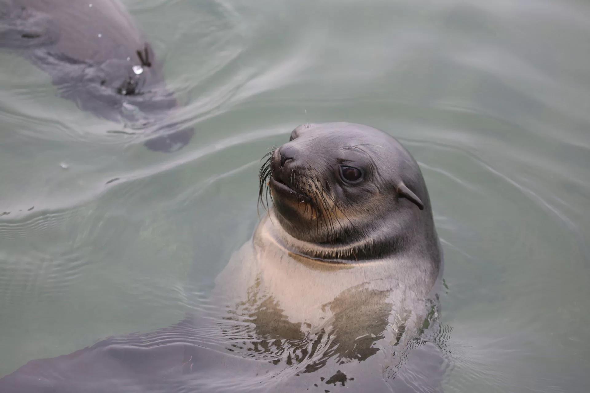 Ford Ranger Fuels Marine Research Breakthroughs with Sea Search