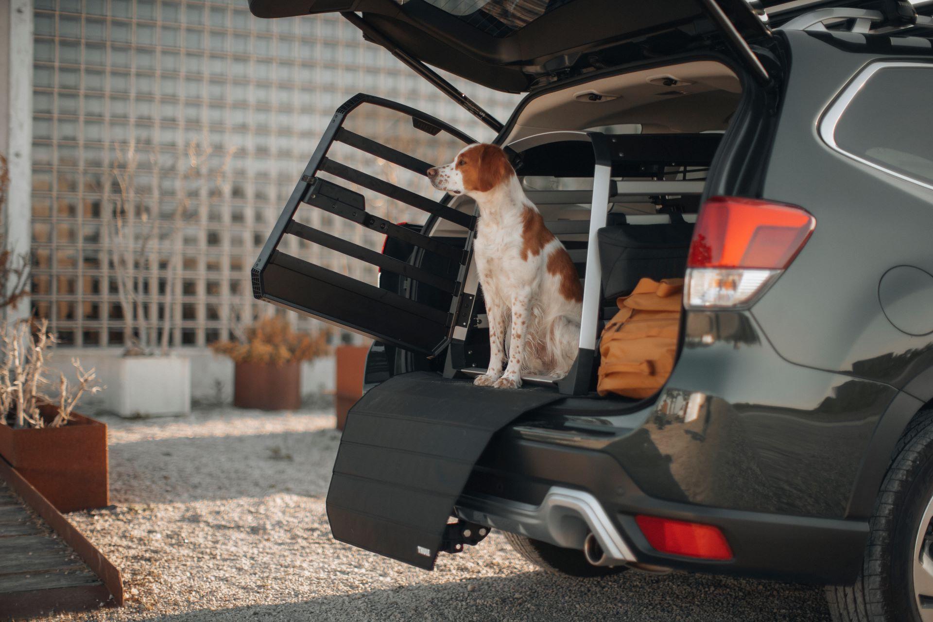 Thule South Africa Expands Product Line with Innovative Offerings for Adventurers