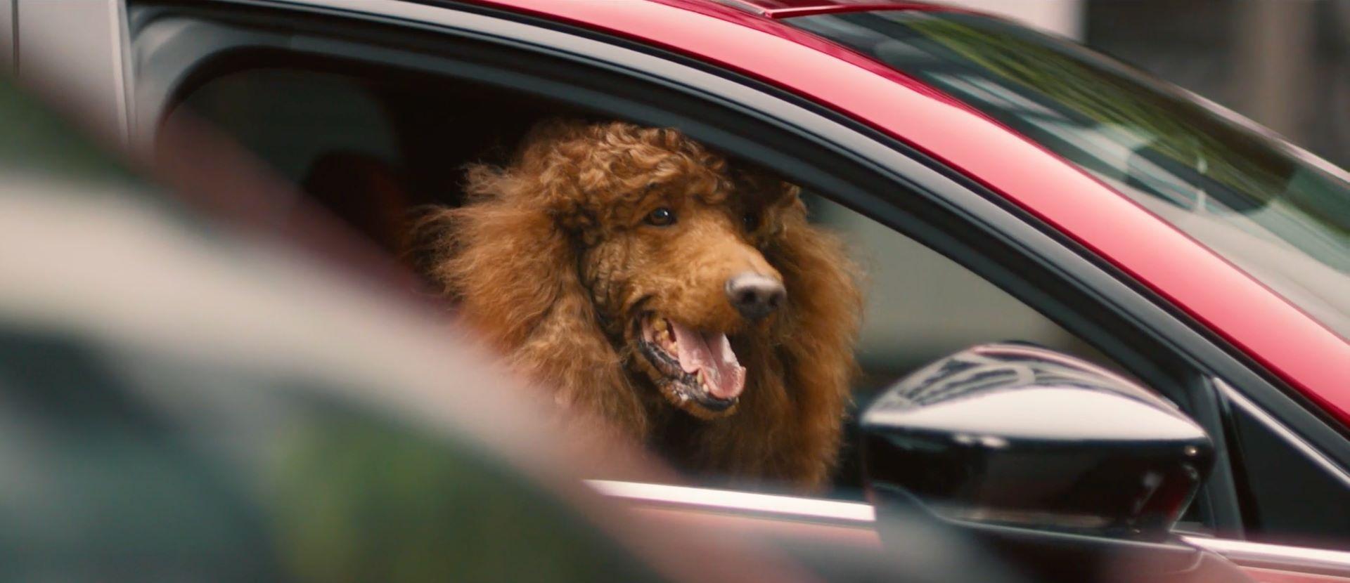 Discover the Extraordinary in the Everyday: Mazda’s ‘Wonderrrr Awaits’ Campaign