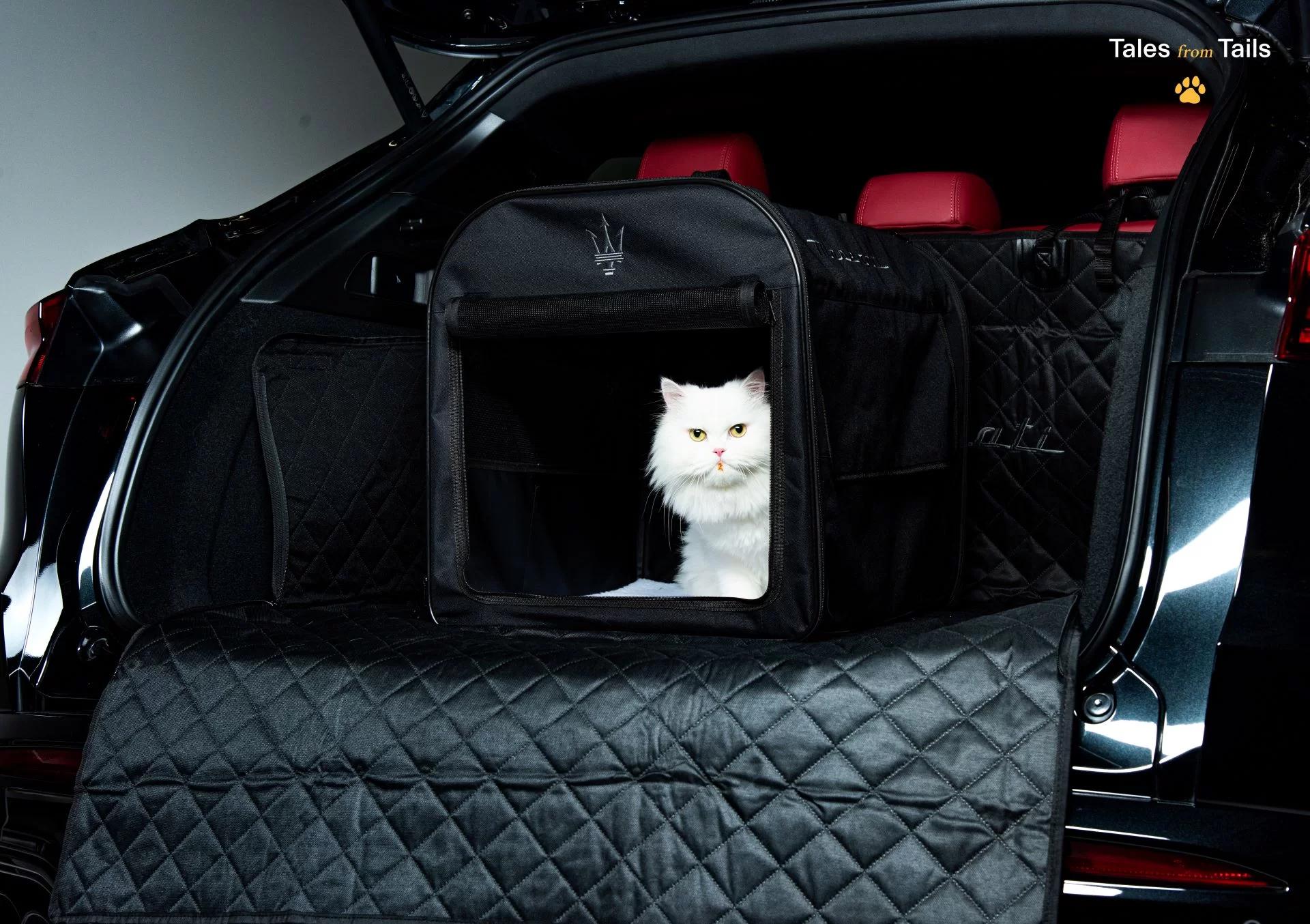 Tales from Tails: Maserati Unveils Luxury Pet Merchandise in Heartwarming Photoshoot Event