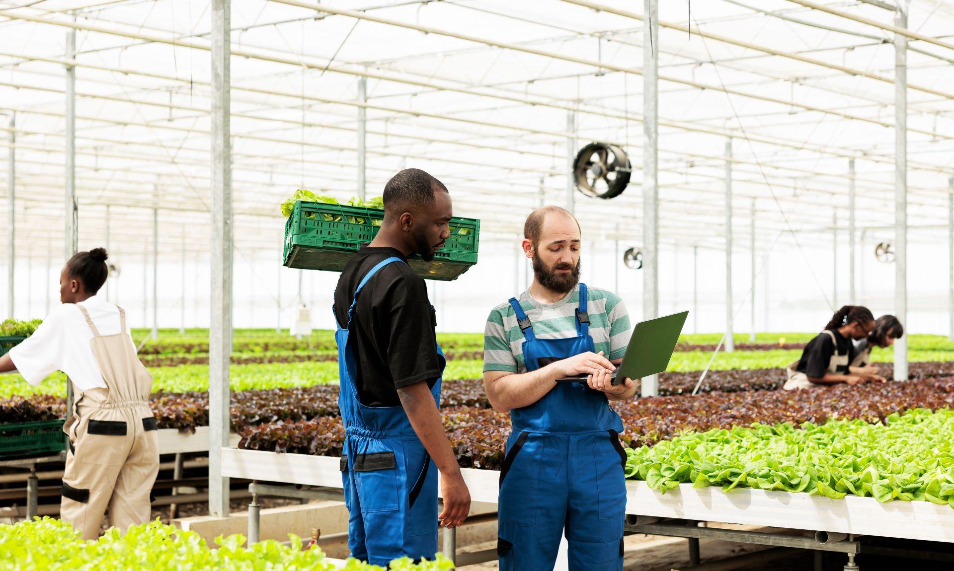 Mechanisation and Precision Agriculture: The Key to a Sustainable Future for South African Farming