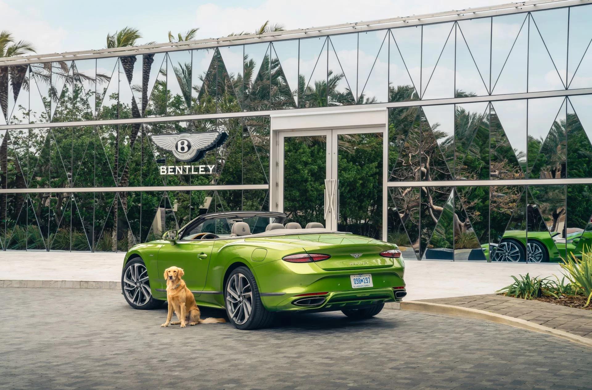 Bentley Residences: A New Benchmark in Ultra-Luxury Living