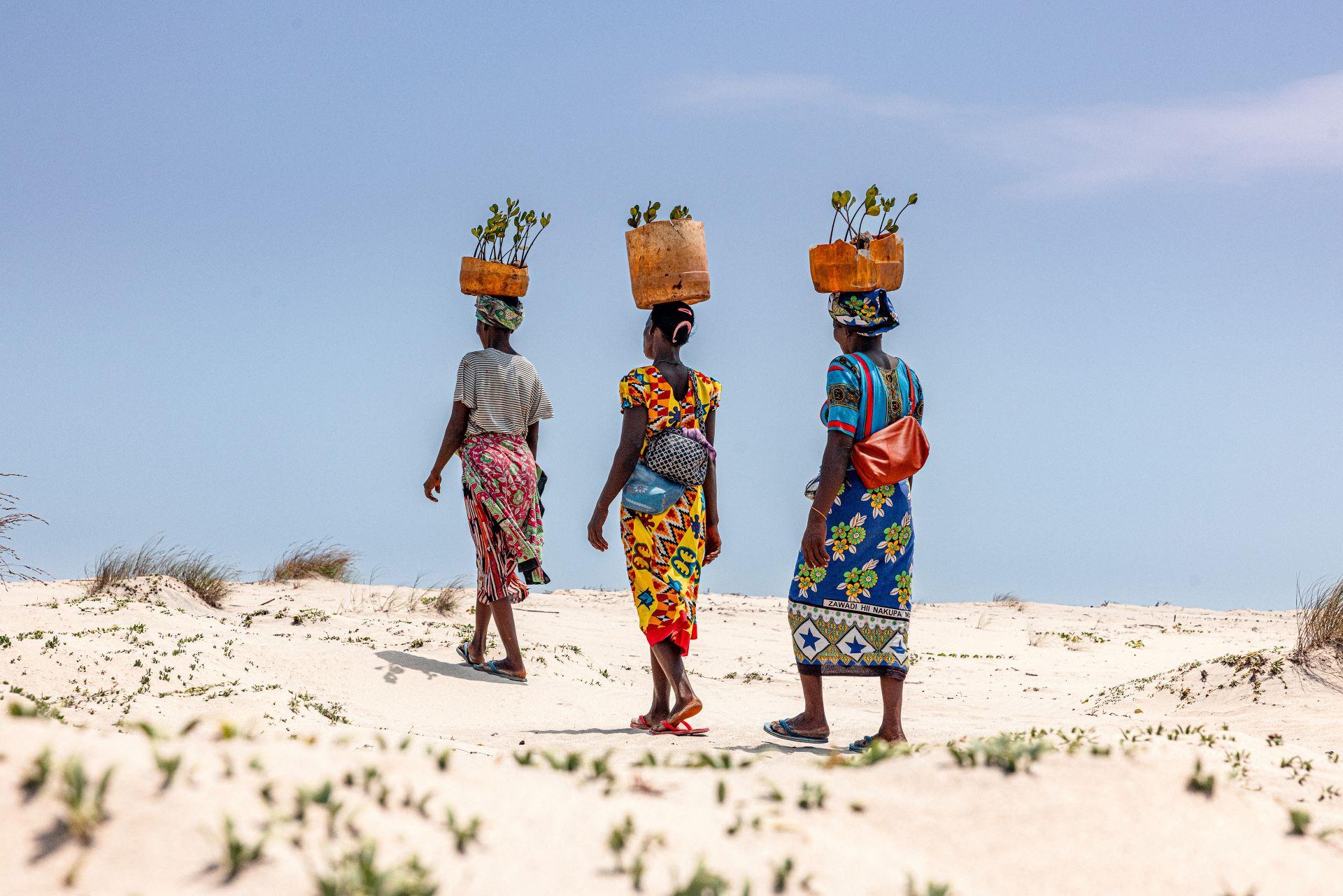 Bentley Environmental Foundation Publishes First Impact Report, Showcasing Global Progress and Local Commitment