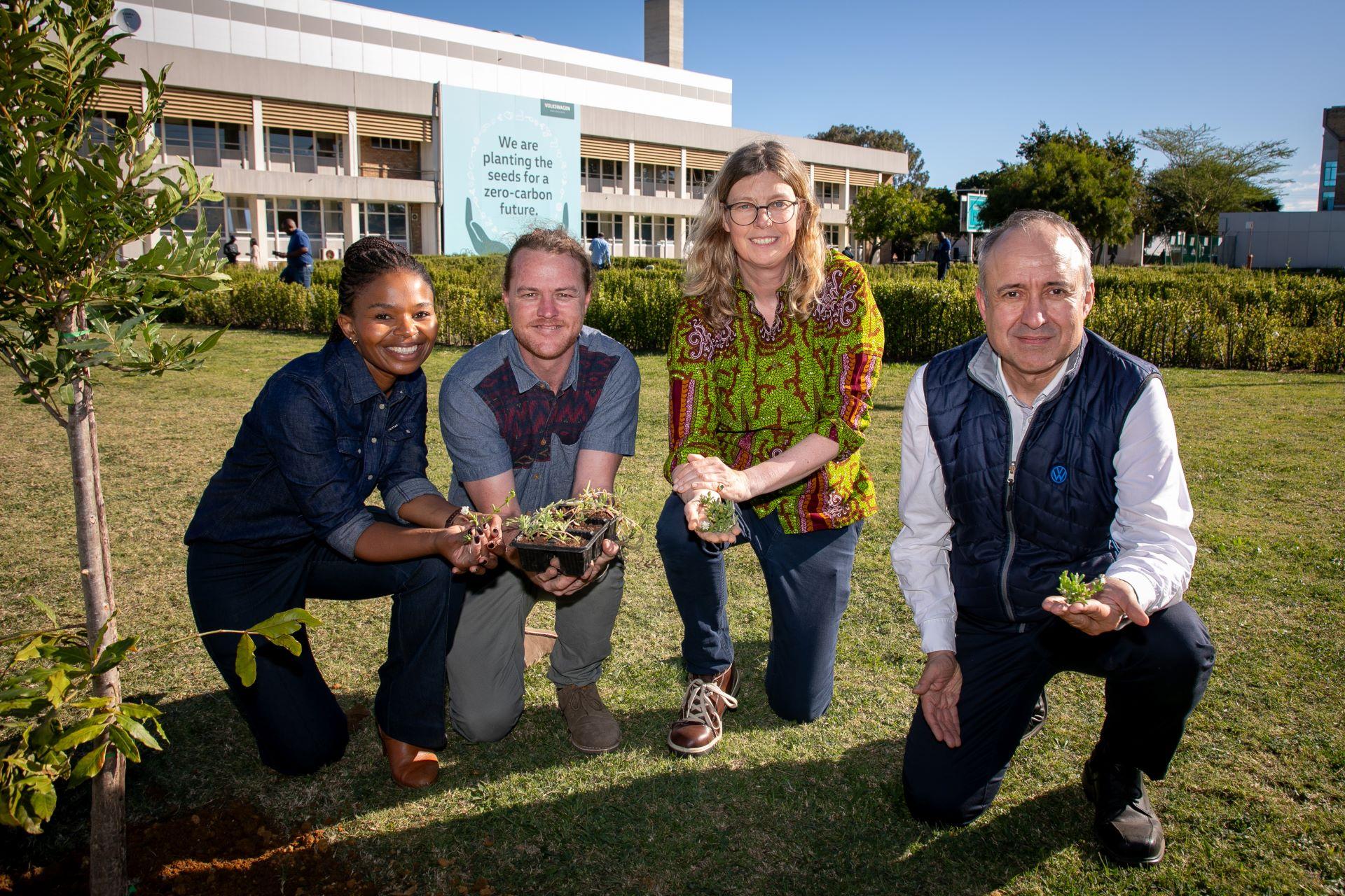 Volkswagen Group Africa Champions Biodiversity with Over 1,500 Indigenous Plants at Kariega Plant
