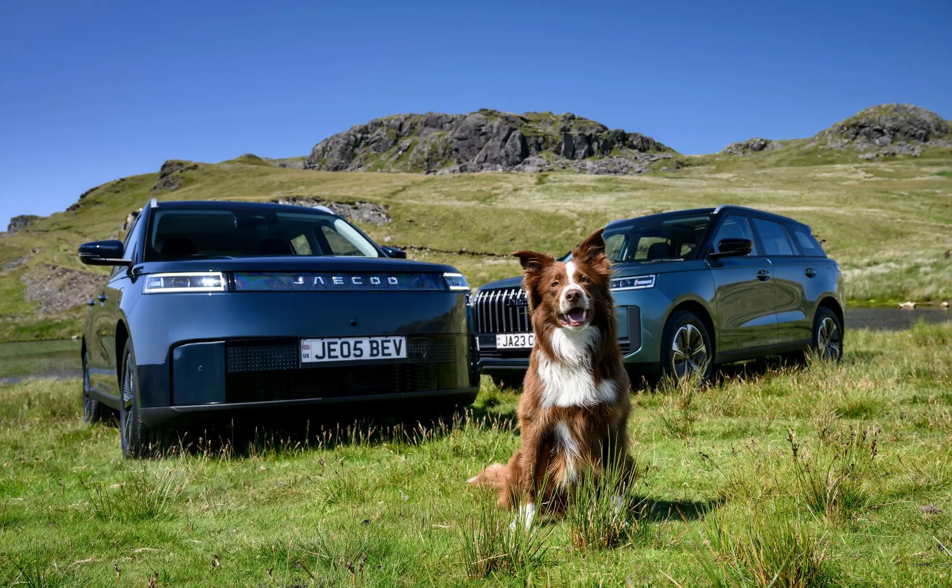 JAECOO UK Brings Pet-Friendly SUVs to London Pet Show Live 2025