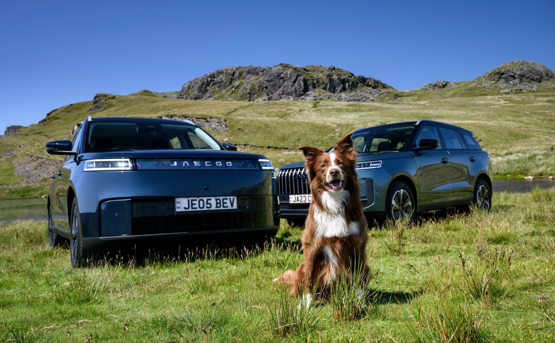 JAECOO UK Brings Pet-Friendly SUVs to London Pet Show Live 2025