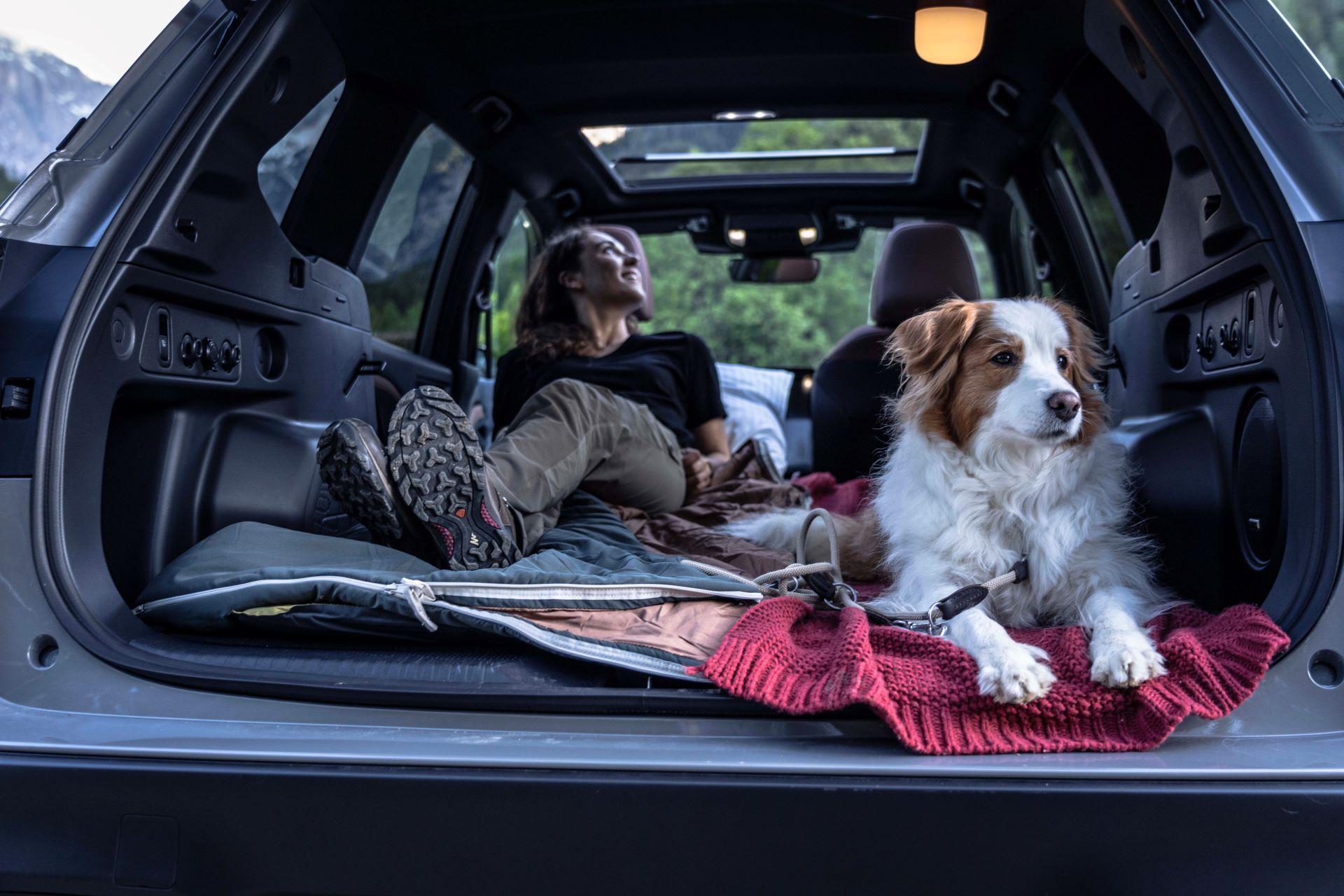 Subaru Partners with BBC Countryfile Magazine to Celebrate the Nation’s Most Extraordinary Dogs