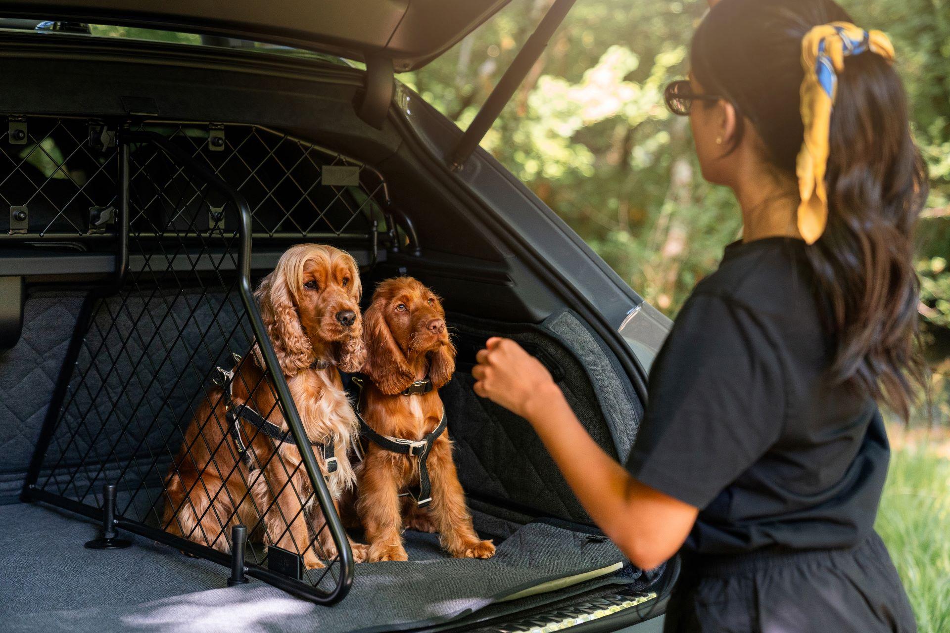 Bentley Extends Luxury to Every Member of the Family with New Pet Accessory Range