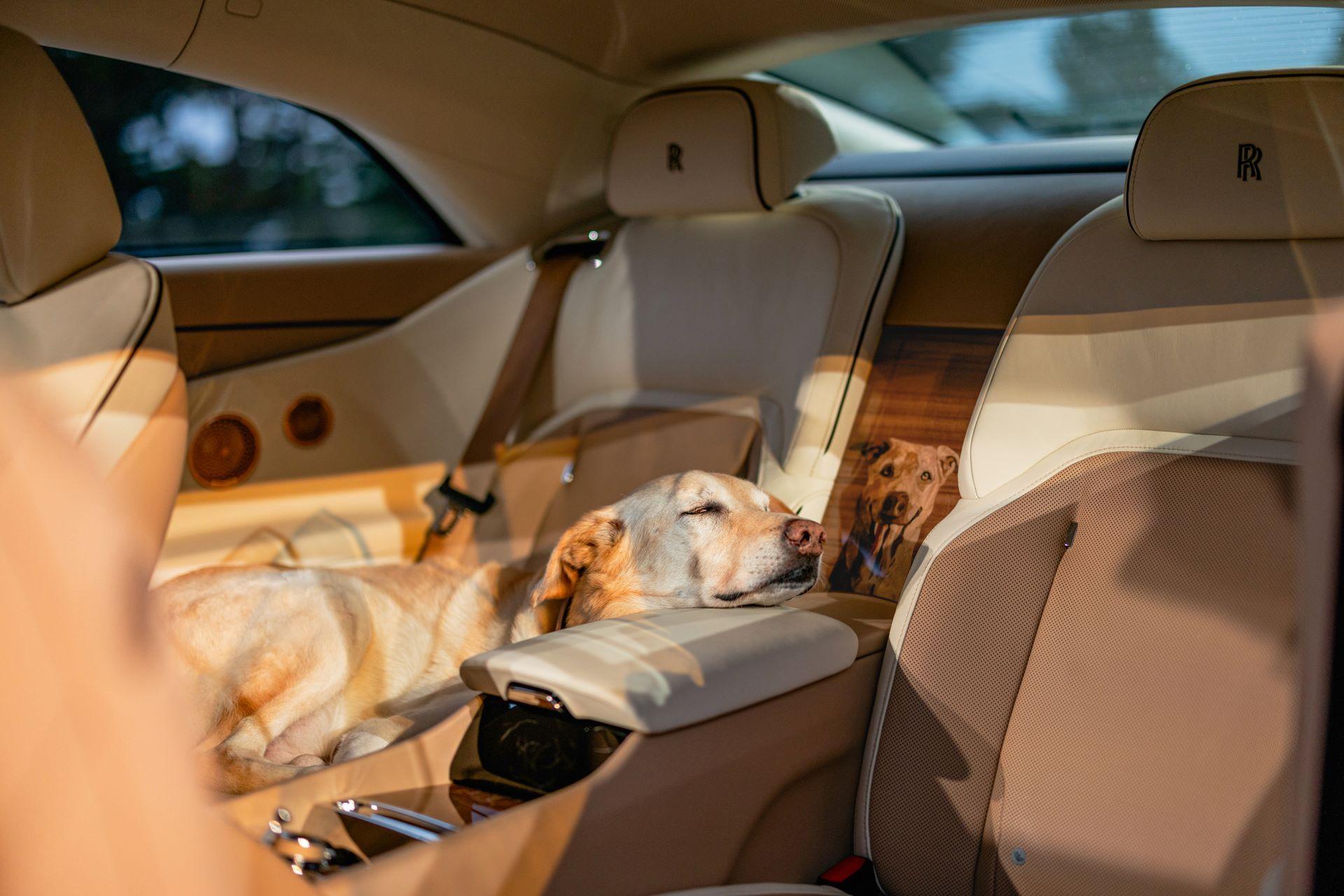 Rolls-Royce Spectre Bailey: A Bespoke Tribute to a Beloved Companion
