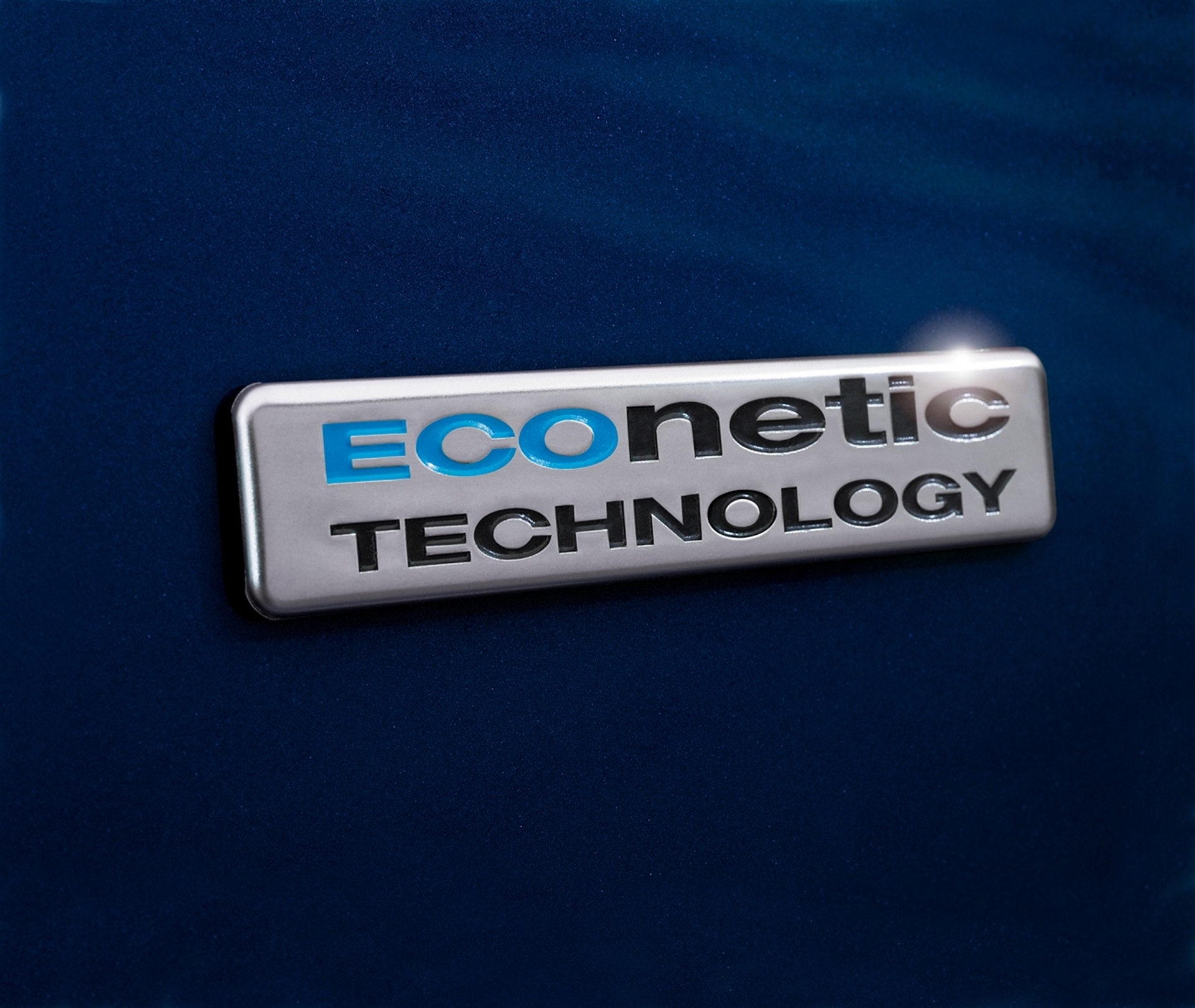 ECOnetic 1 logo