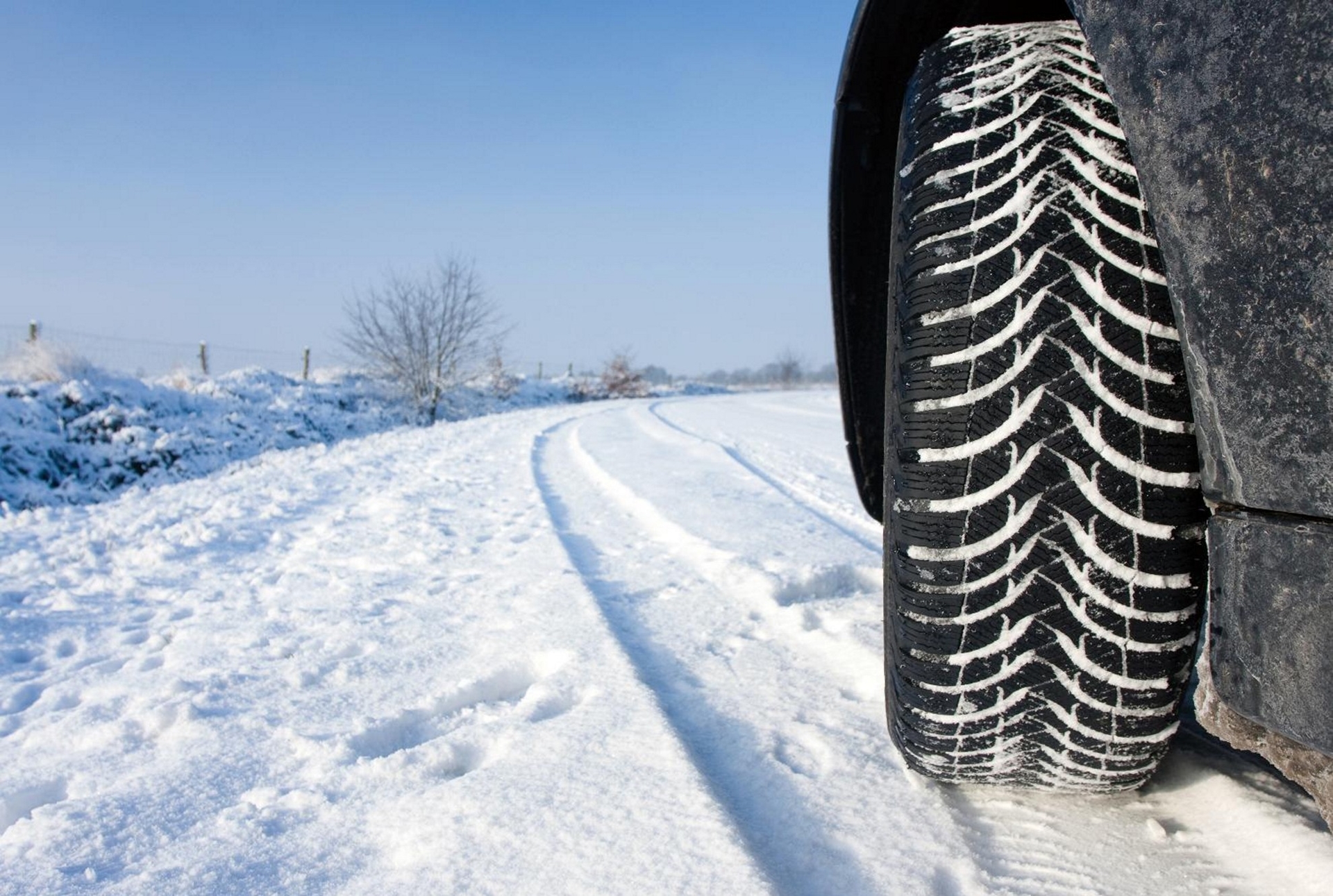 Suzuki Winter Tyres